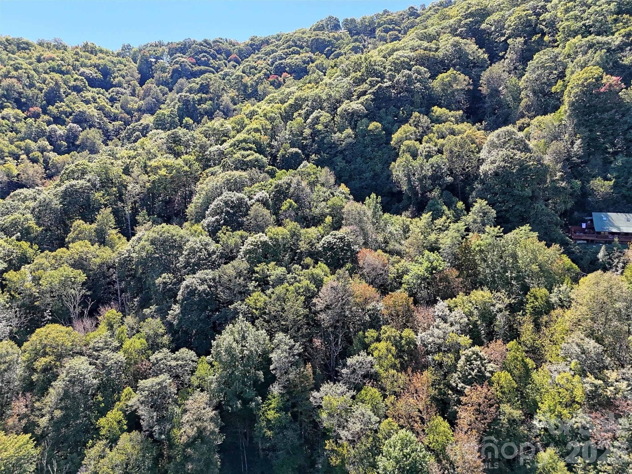 Lot at 00 Buckeye Haven Road, Maggie Valley, photo 12 of 14