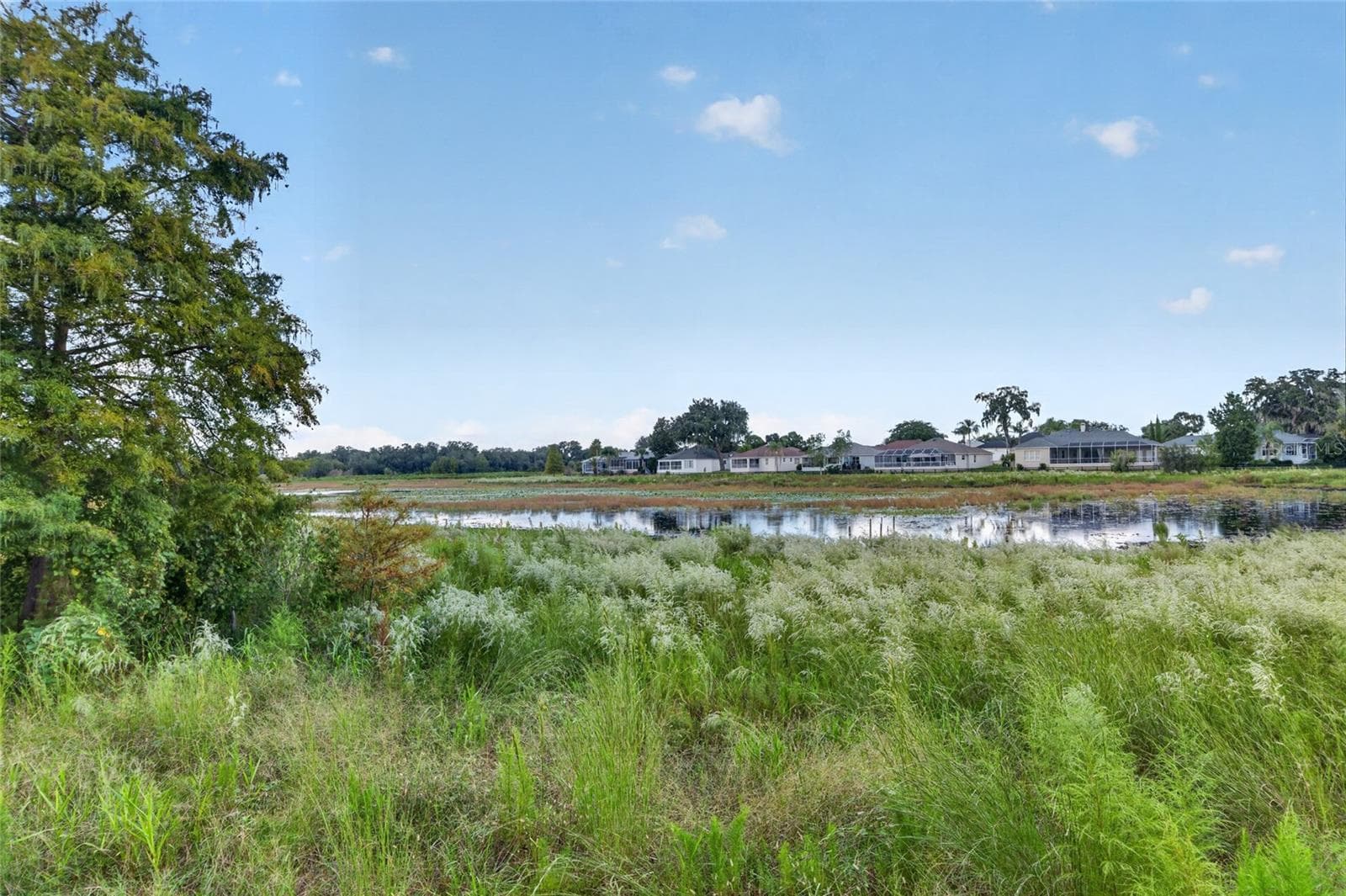 Single Family Residence at 440 CARRERA DR, THE VILLAGES, photo 68 of 76