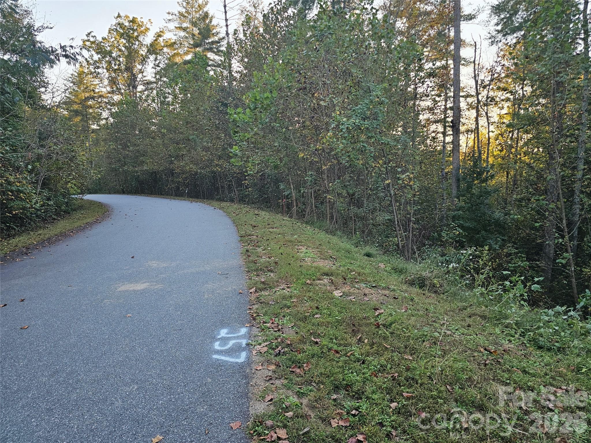 Lot at 524 E Settings Boulevard NW, Valdese, photo 7 of 29