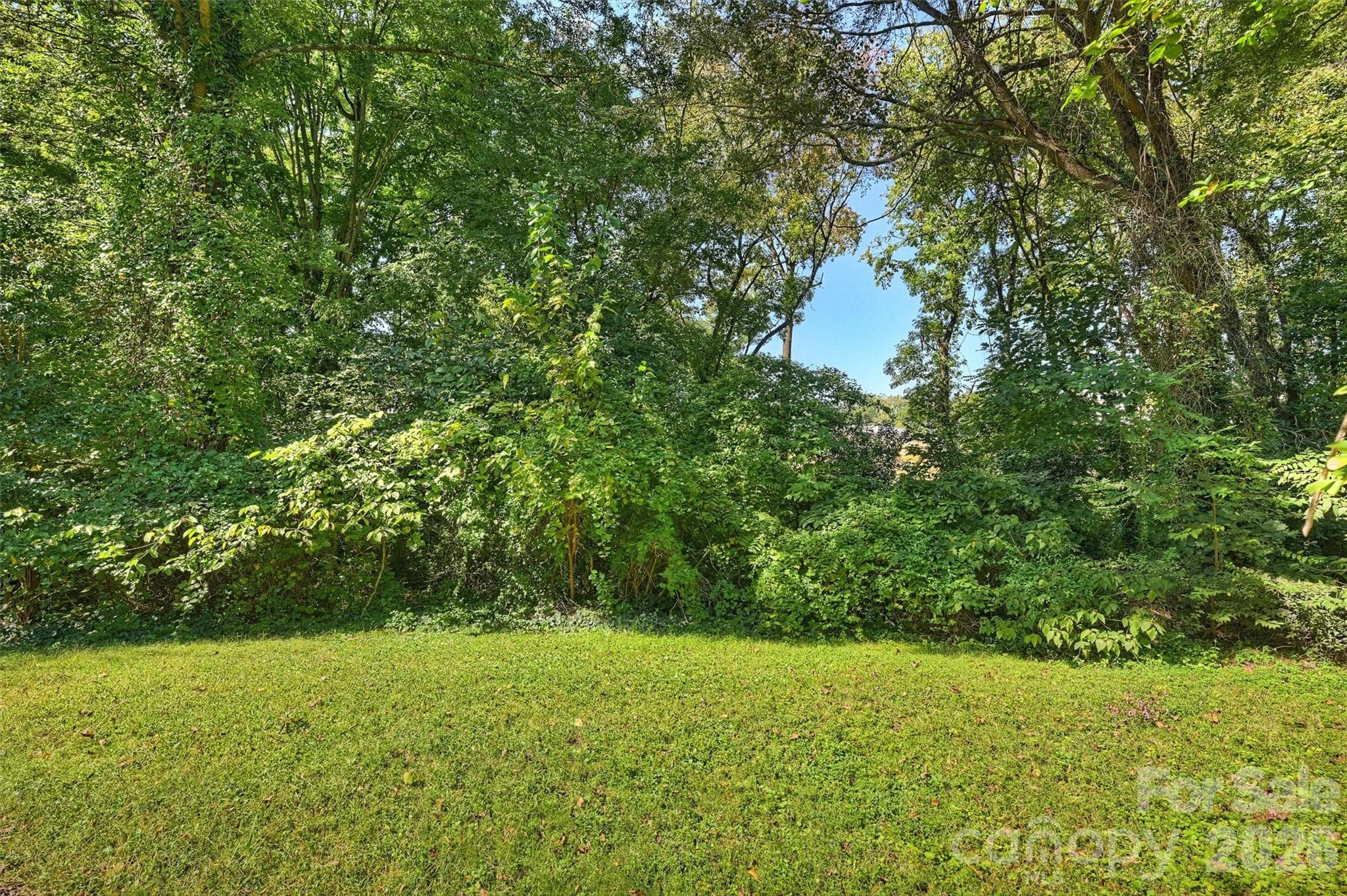 Single Family Residence at 808 Davenport Street, Charlotte, photo 38 of 44