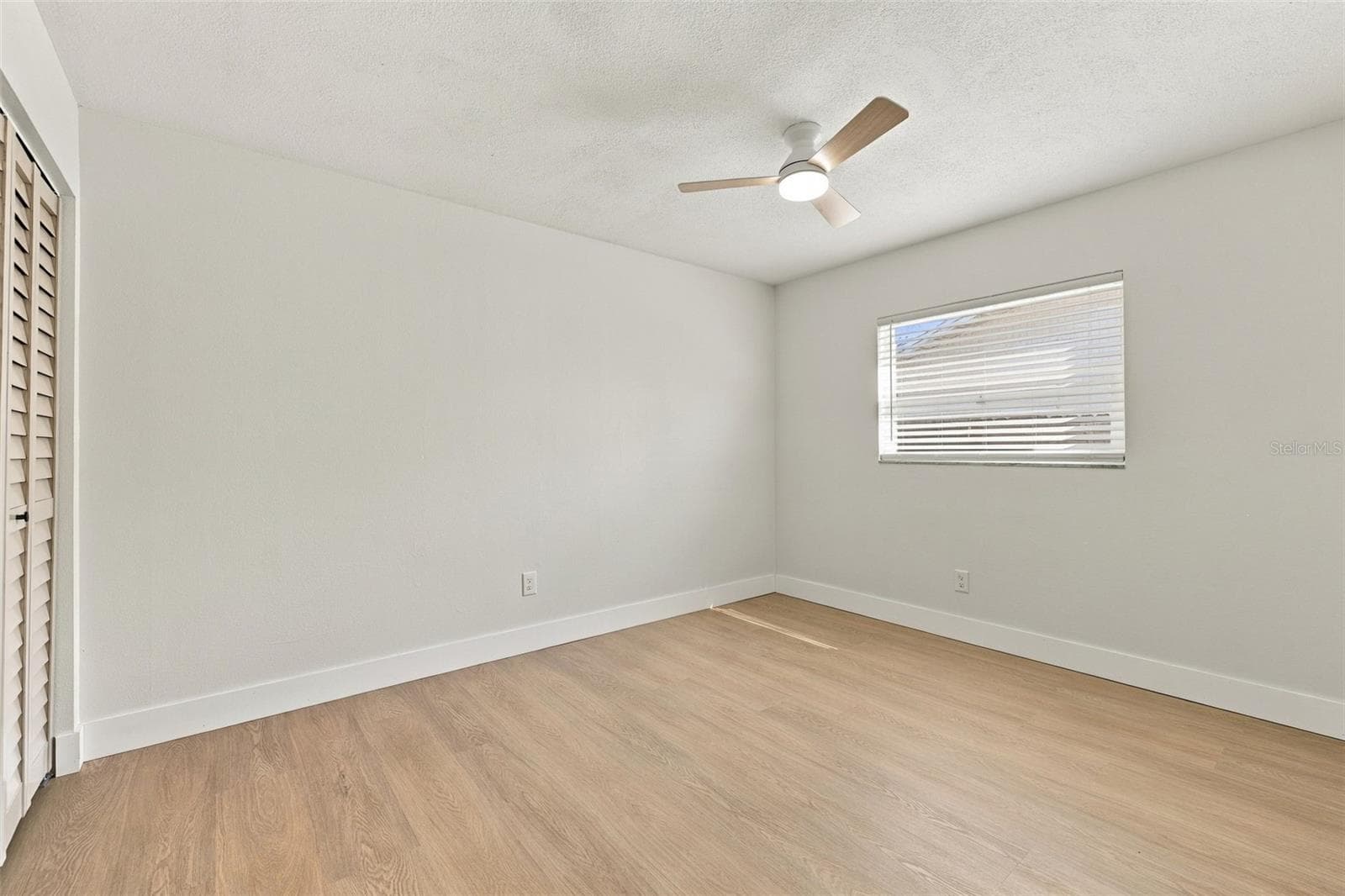 Spacious Guest bedroom #2 - 1613 GREENWOOD DR, DUNEDIN
