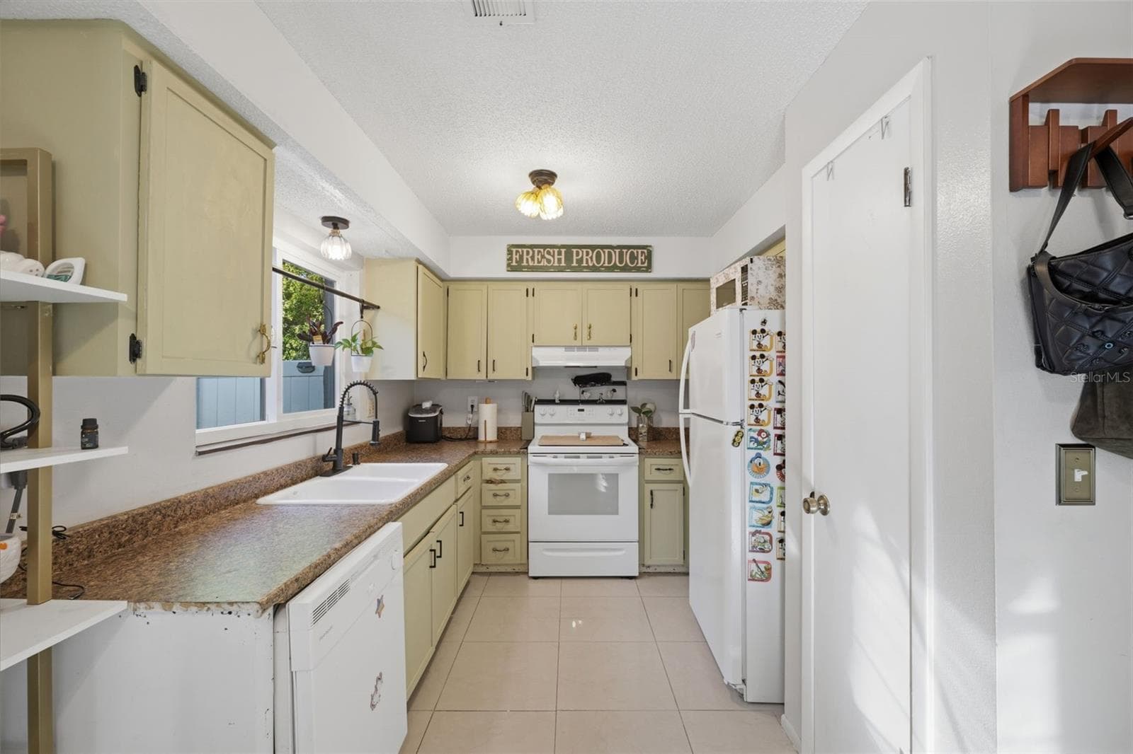 Kitchen - 10048 AMIDON ST, SPRING HILL