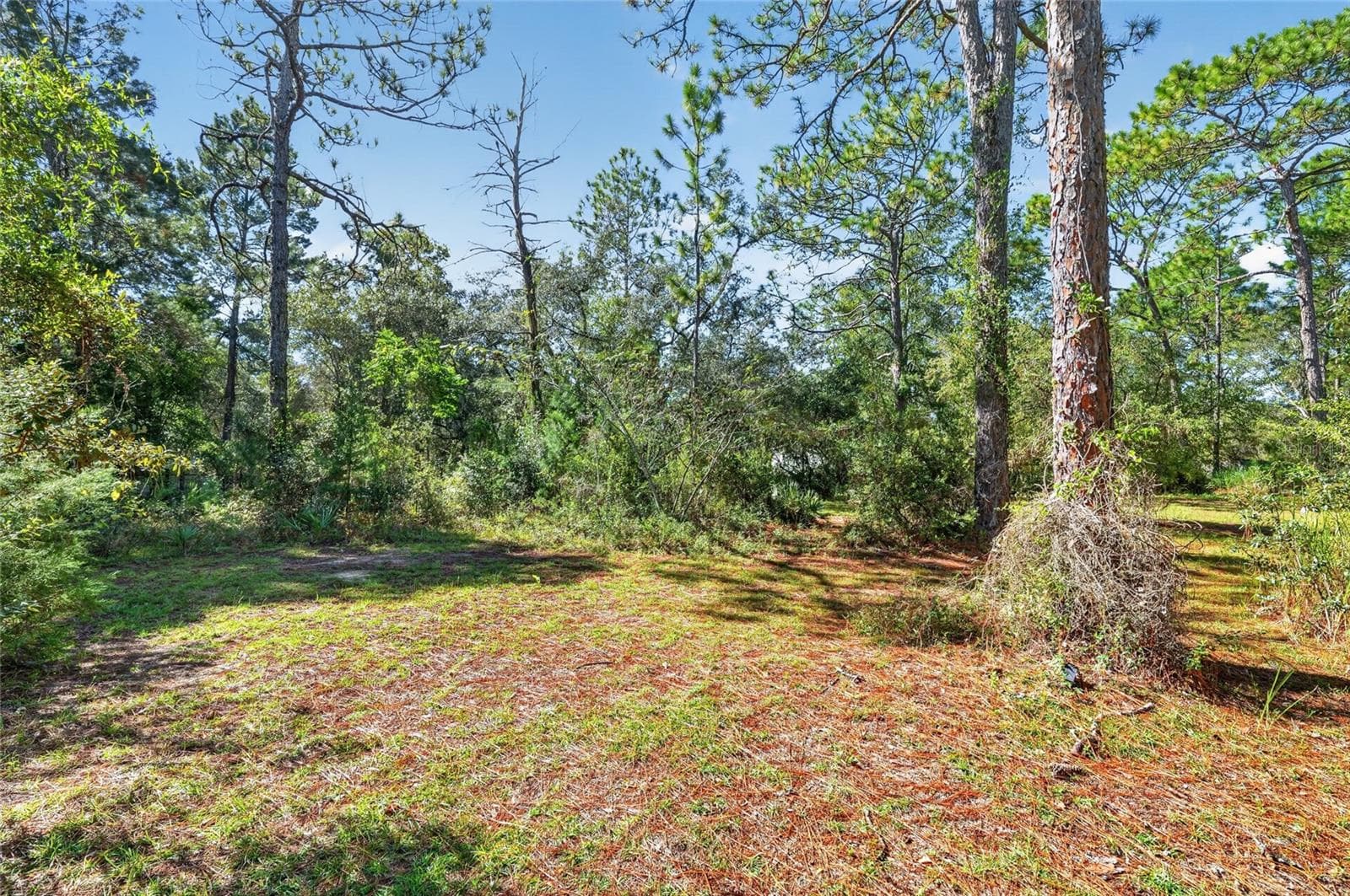 Single Family Residence at 8680 N MEYER SQ, DUNNELLON, photo 61 of 67