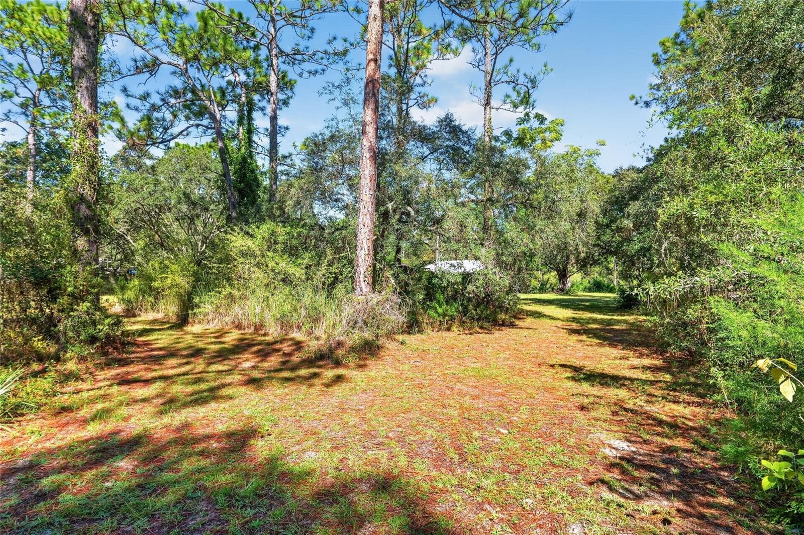 Single Family Residence at 8680 N MEYER SQ, DUNNELLON, photo 62 of 67