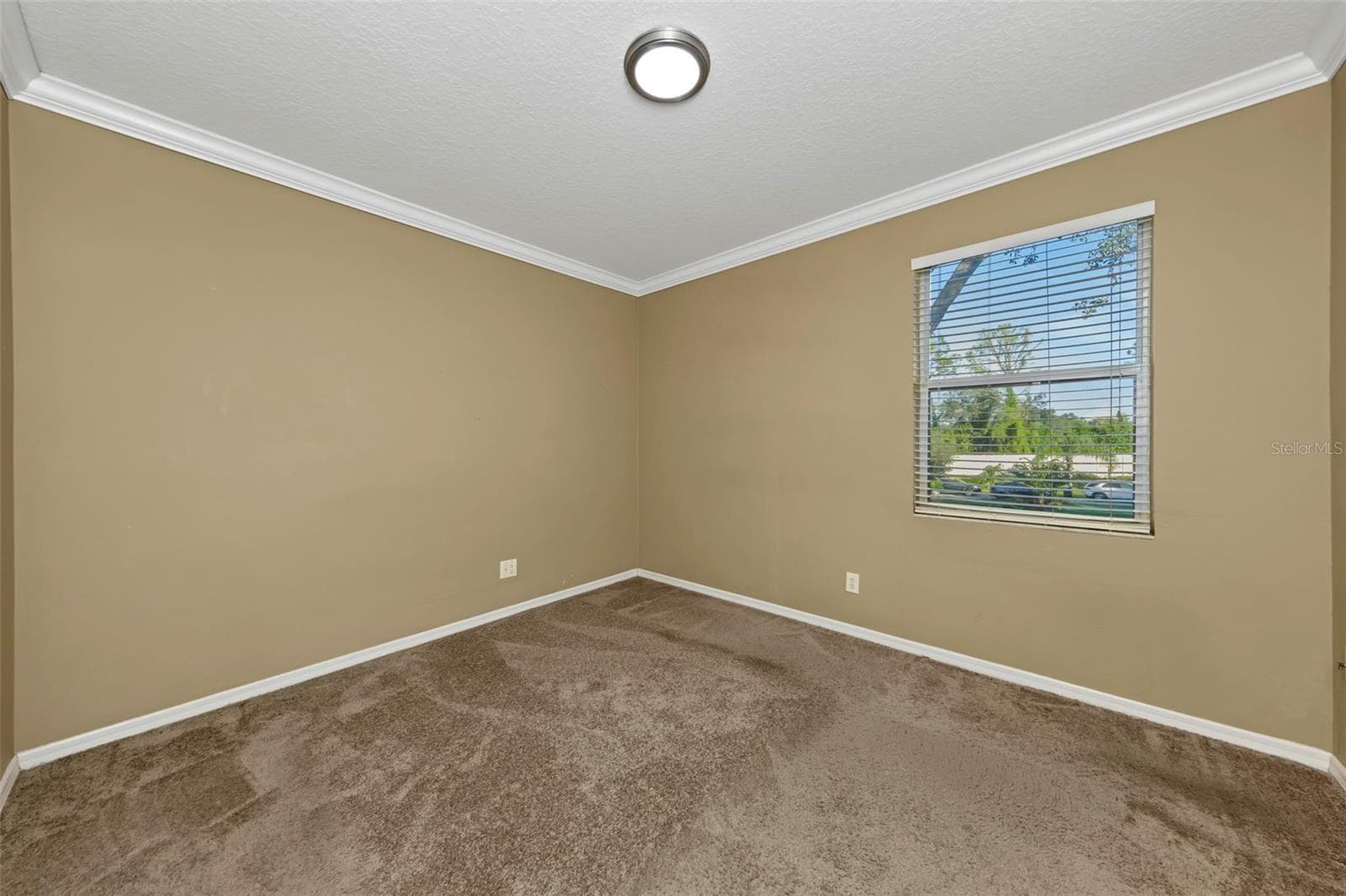 Single Family Residence at 1406 MCCREA DR, LUTZ, photo 43 of 97