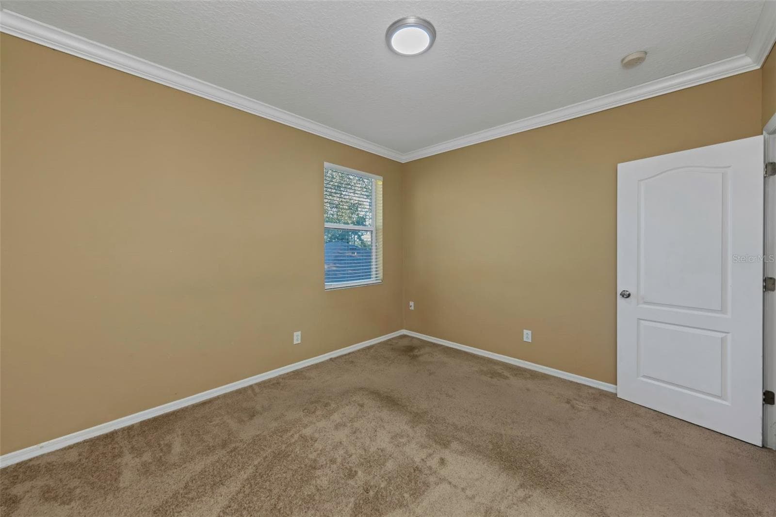 Single Family Residence at 1406 MCCREA DR, LUTZ, photo 45 of 97