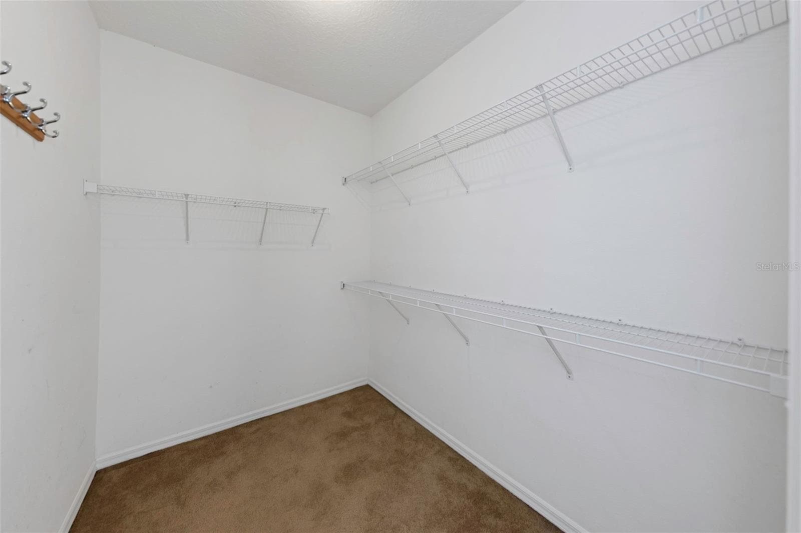 Single Family Residence at 1406 MCCREA DR, LUTZ, photo 75 of 97