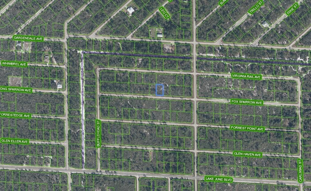 Land at 3509 SPOONBILL AVE, LAKE PLACID, photo 2 of 2