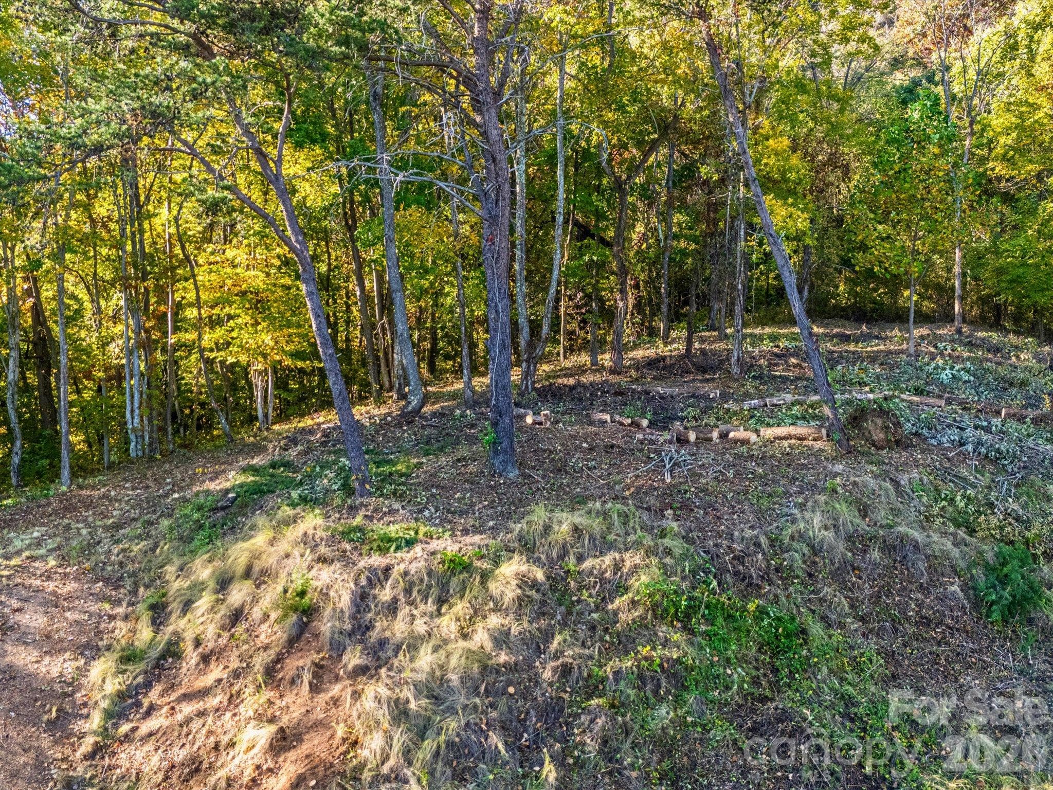 Drone view looking into the lot - 42 High Rock View Drive, Canton