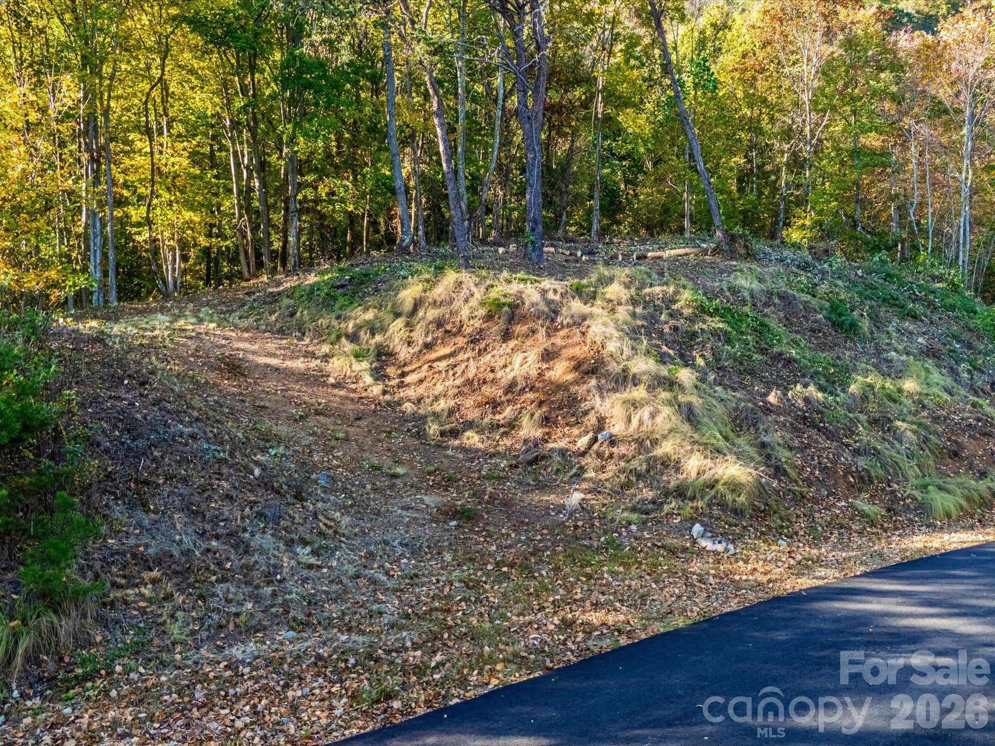 No hard turns or steep climbs to your future home - 42 High Rock View Drive, Canton