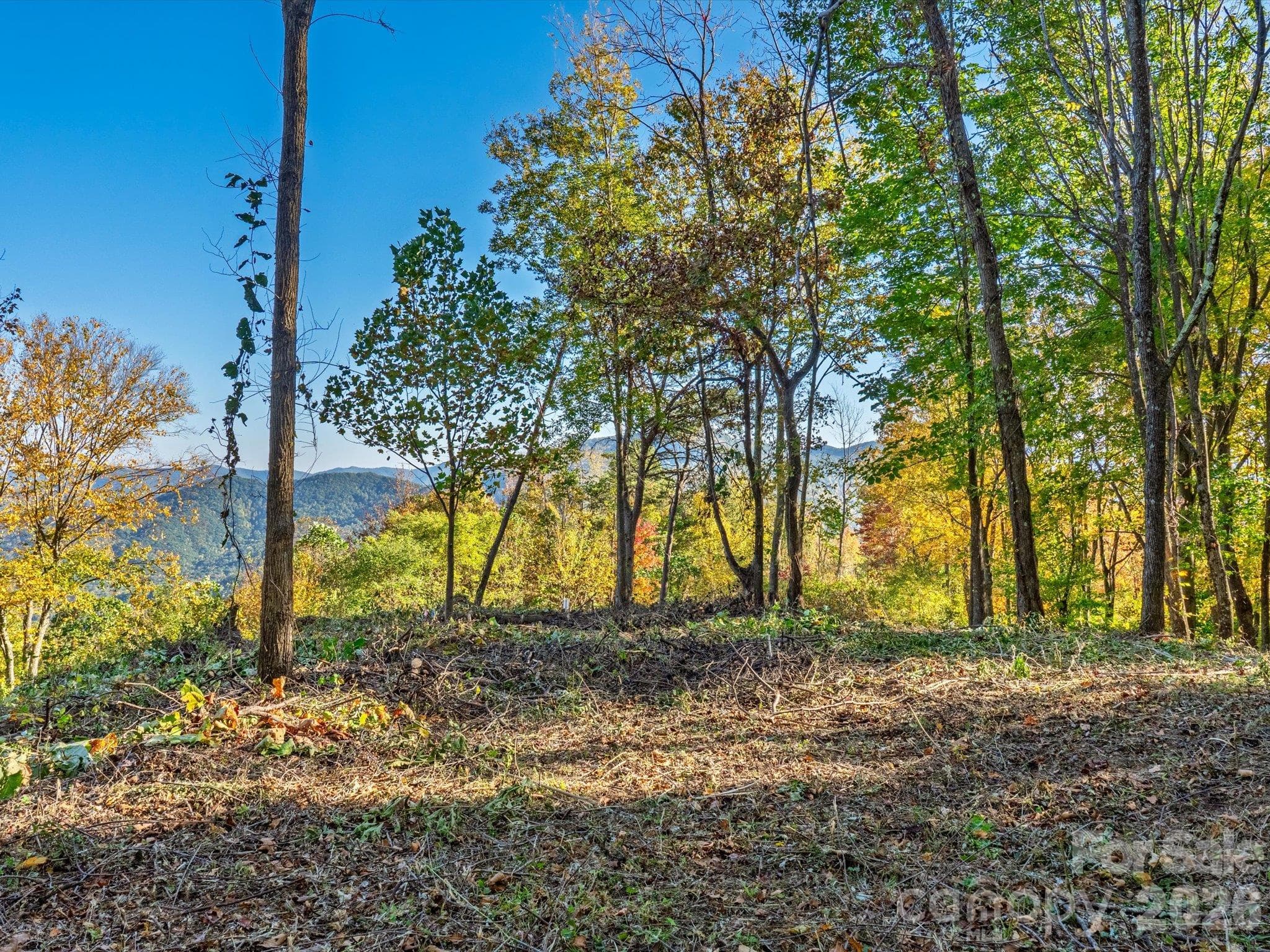 Beautiful views from the building site - 42 High Rock View Drive, Canton