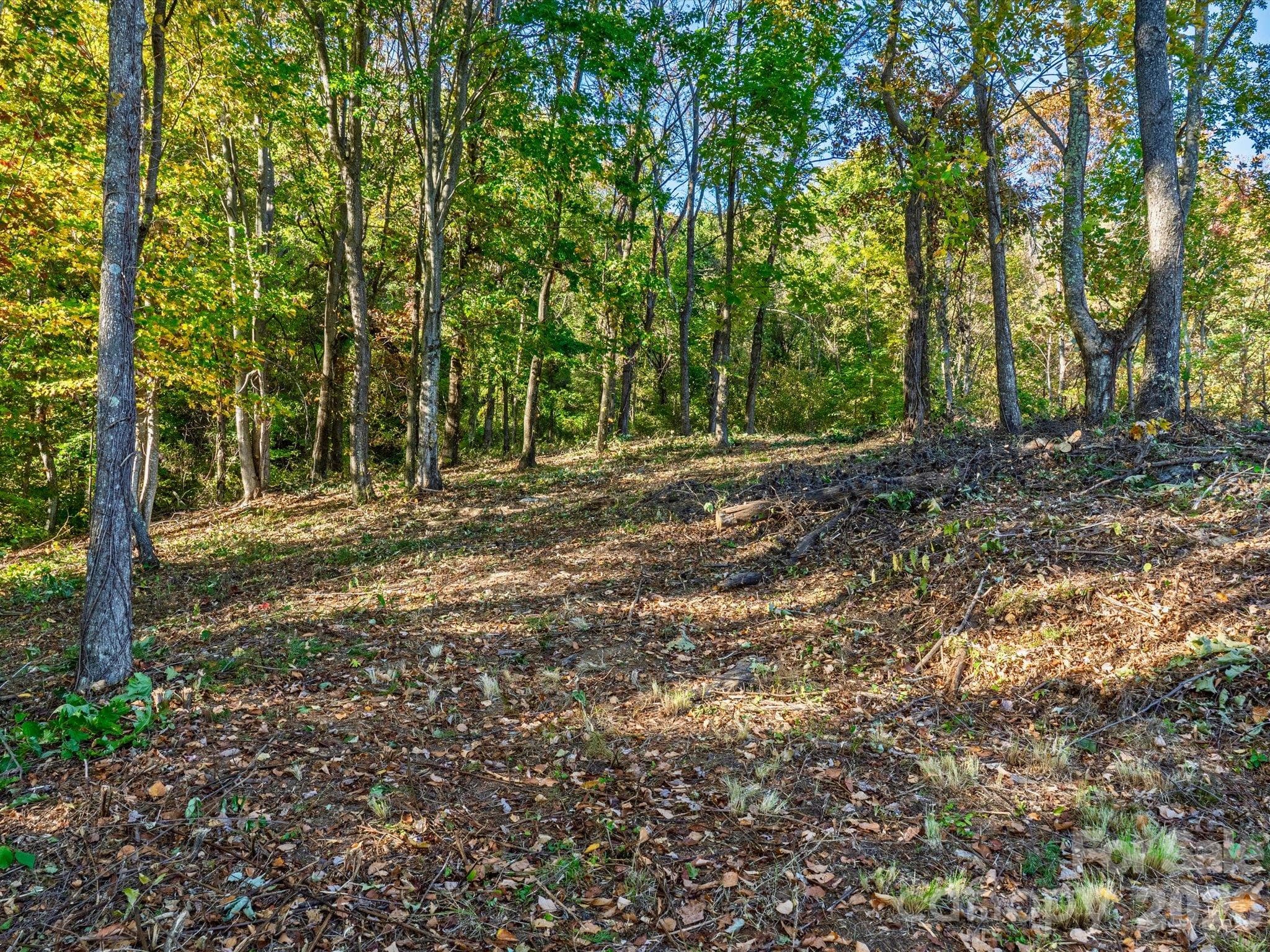 Private wooded lot - 42 High Rock View Drive, Canton