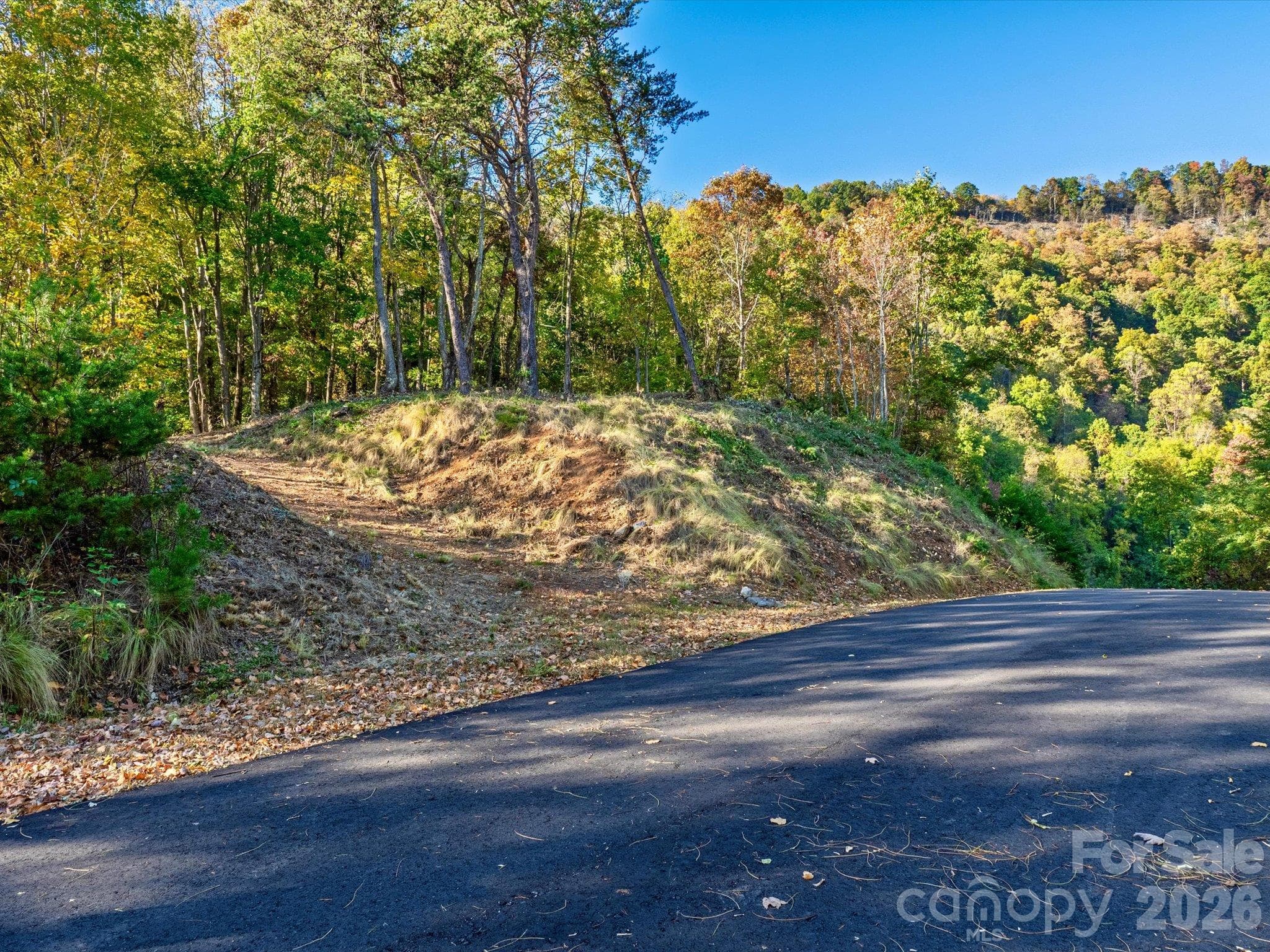 Smooth entry into the land - 42 High Rock View Drive, Canton