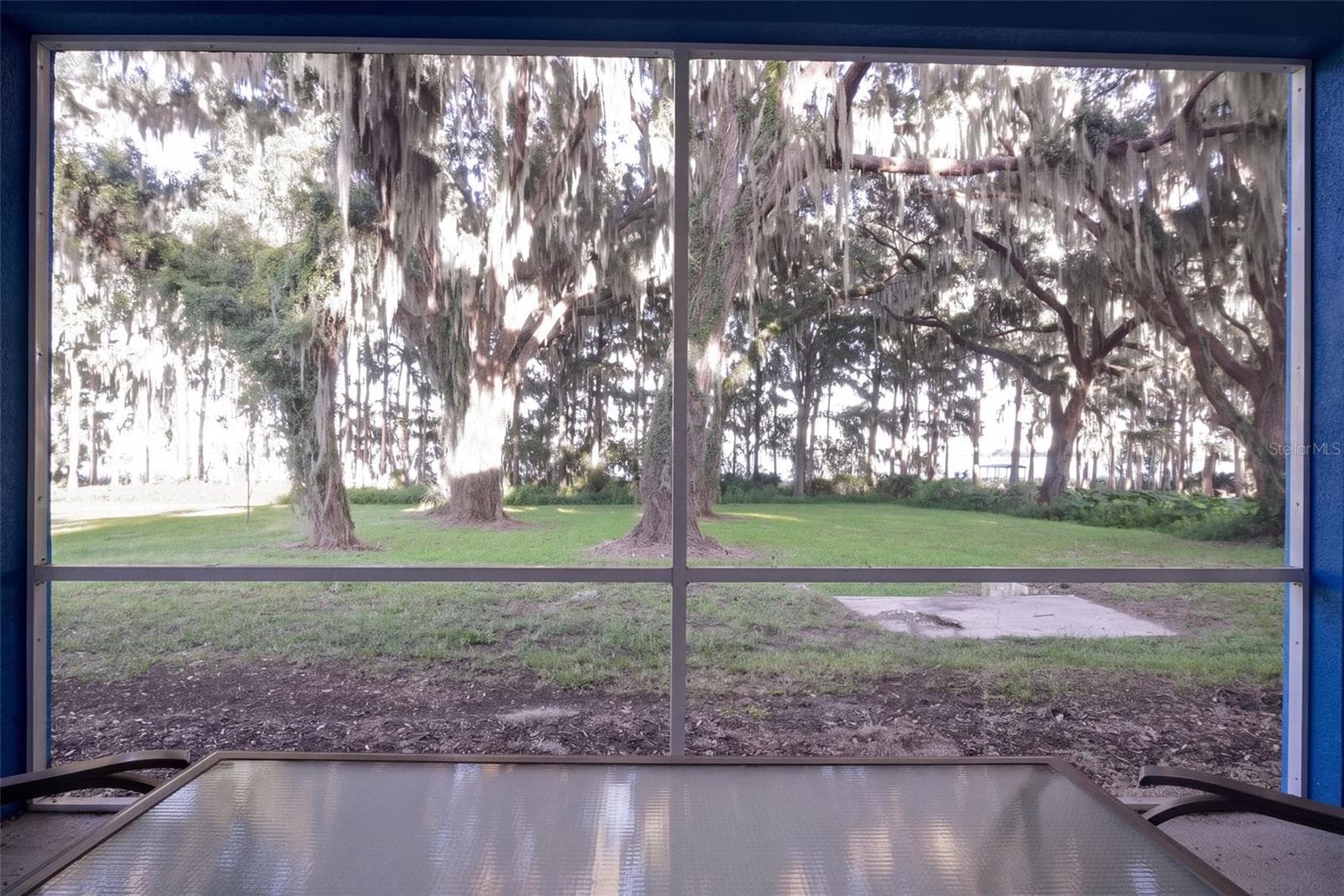 Porch view to the oaks and Lake Harris: sunrise every morning - 4410 CORLEY ISLAND RD, LEESBURG