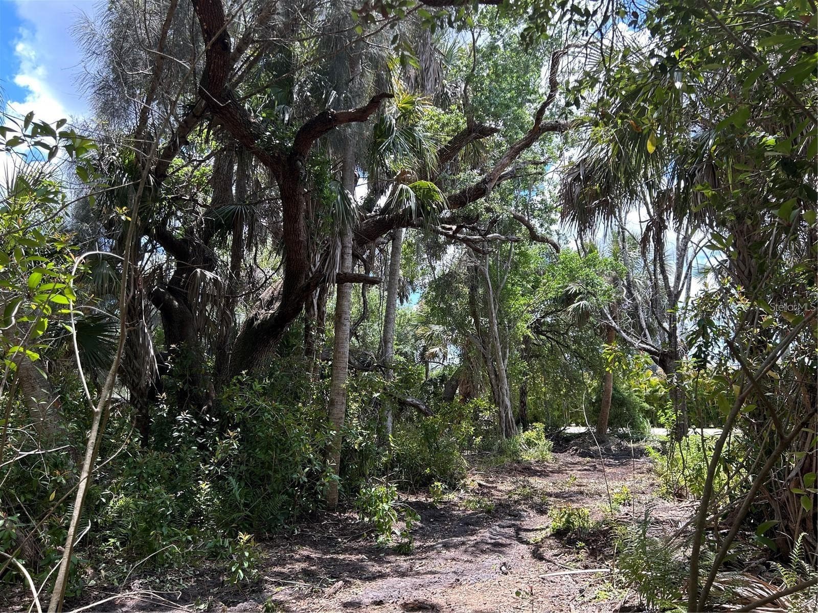 Land at 7022 RIVERSIDE DR, PUNTA GORDA, photo 7 of 14