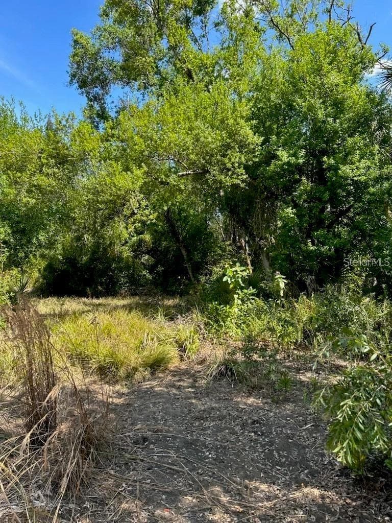 Land at 7022 RIVERSIDE DR, PUNTA GORDA, photo 8 of 14
