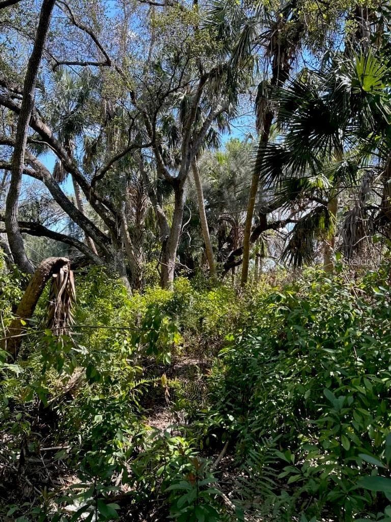 Land at 7022 RIVERSIDE DR, PUNTA GORDA, photo 10 of 14