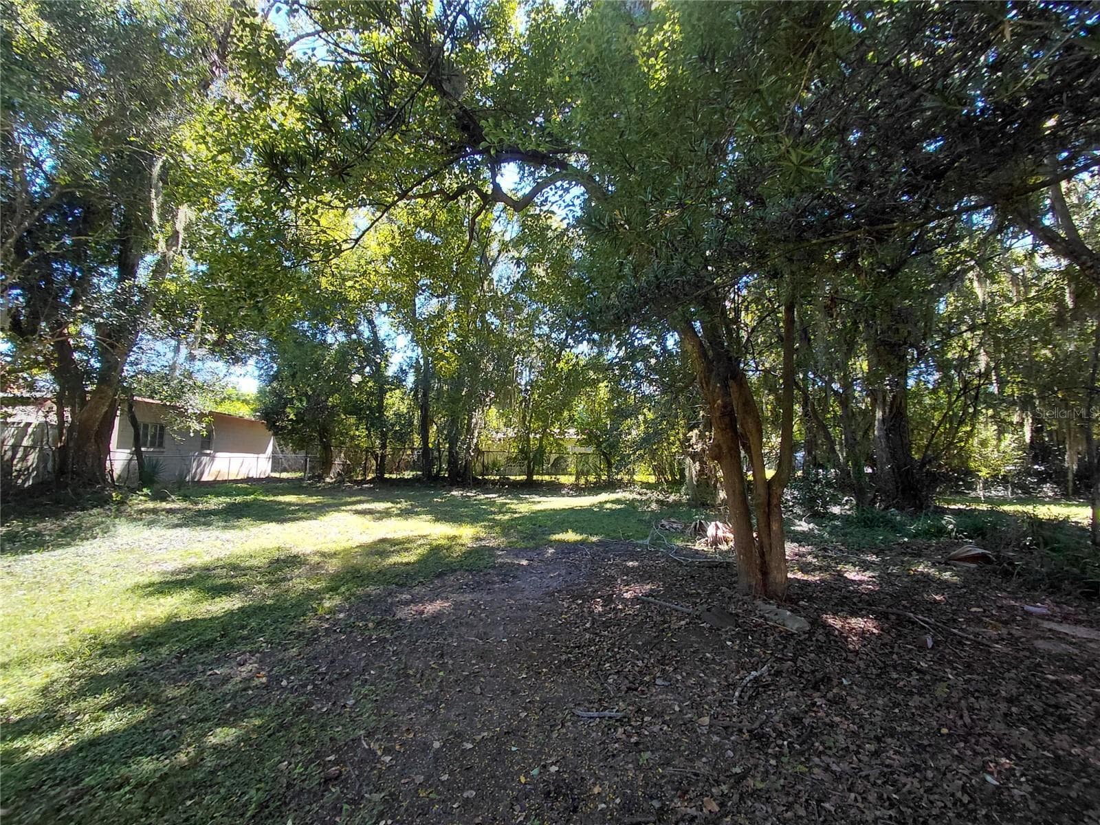 Back Yard - 532 E RICH AVE, DELAND