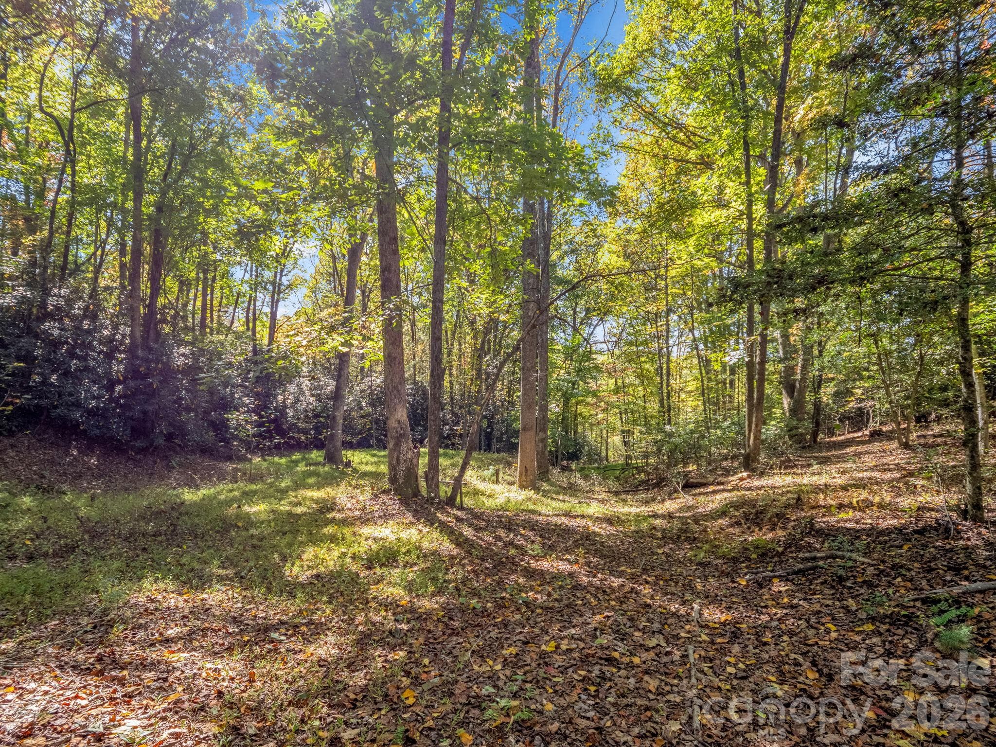 396 Patton Mountain Road
