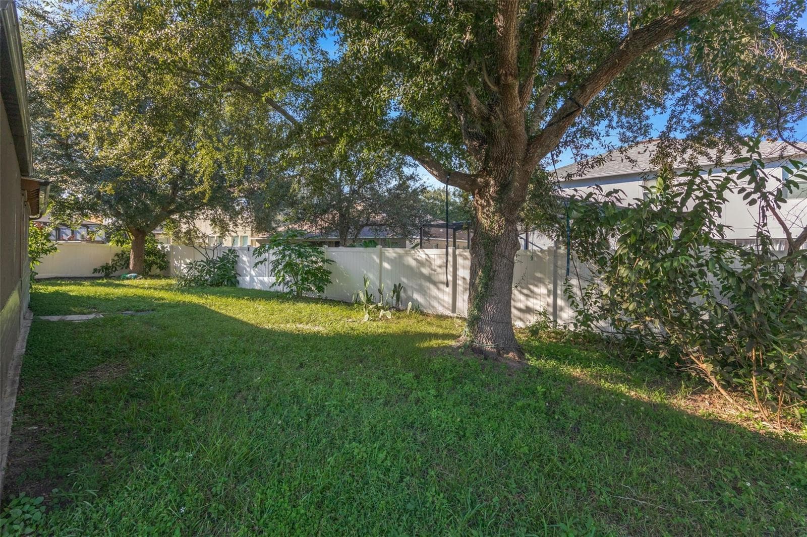Back Yard - 2524 CROSS MORE ST, VALRICO