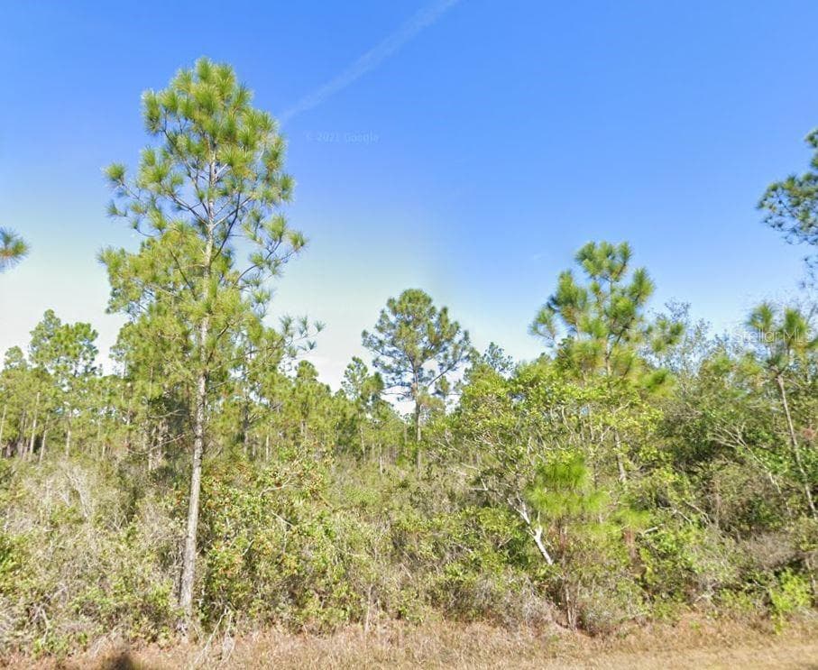 Land at CALENDULA DR, INDIAN LAKE ESTATES, photo 3 of 5