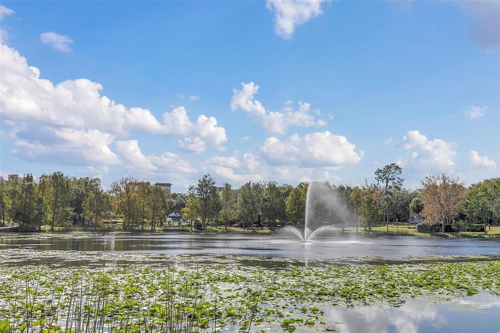 Lake Lily - 1020 QUINWOOD LN, MAITLAND