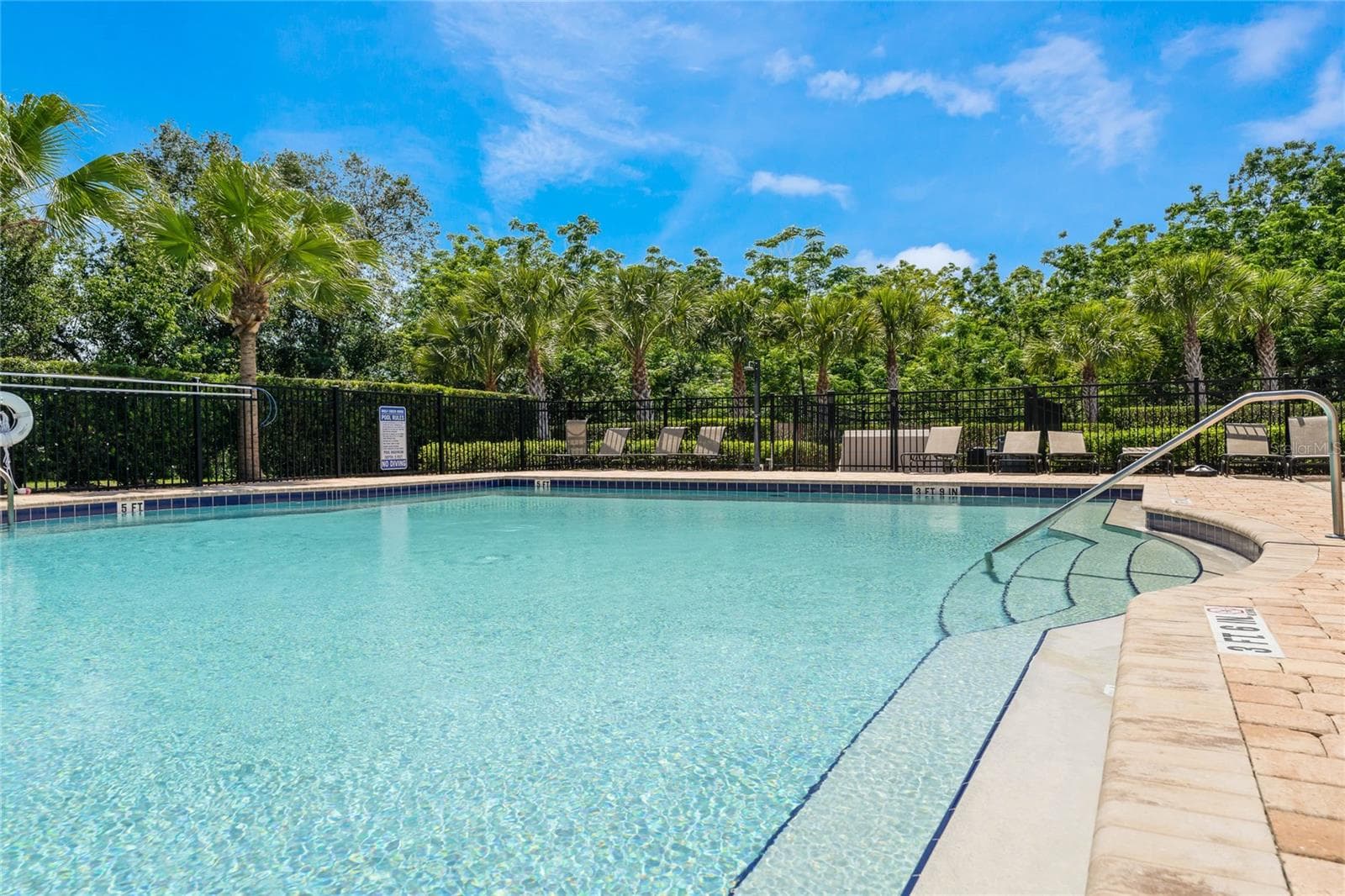 Community Pool - 3139 BETHPAGE LOOP, MOUNT DORA