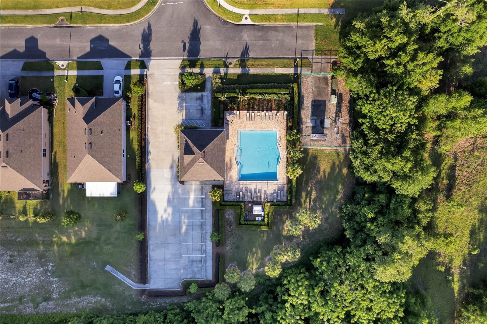 Aerial of Summerview Amenities - 3139 BETHPAGE LOOP, MOUNT DORA