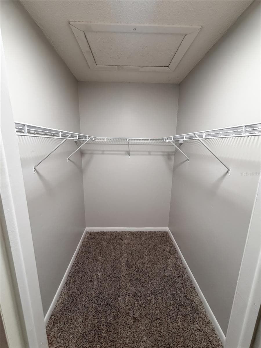 Primary Bedroom Closet - 14714 OAK VINE DR, LUTZ