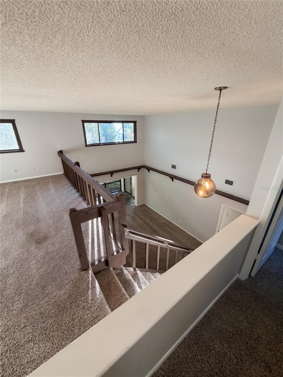 Loft Alt View - 14714 OAK VINE DR, LUTZ