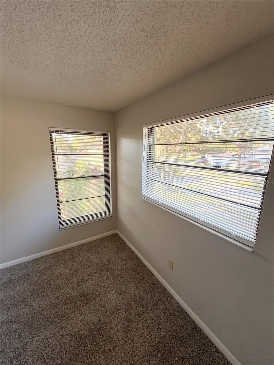 Guest Bedroom 3 Window View - 14714 OAK VINE DR, LUTZ