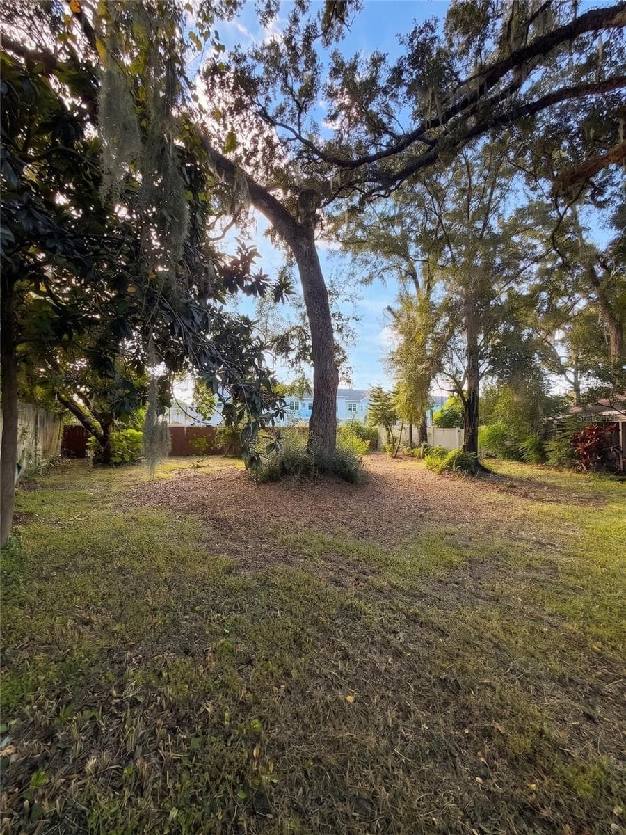 Back Yard - 14714 OAK VINE DR, LUTZ