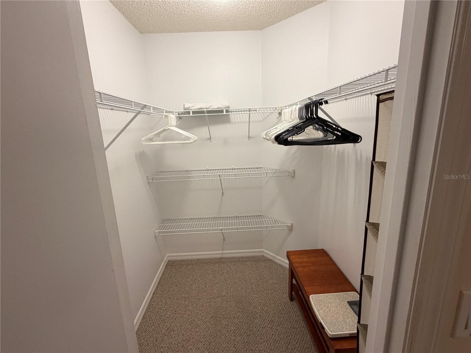 Lrg Closet - 5641 LAVER ST, LEESBURG