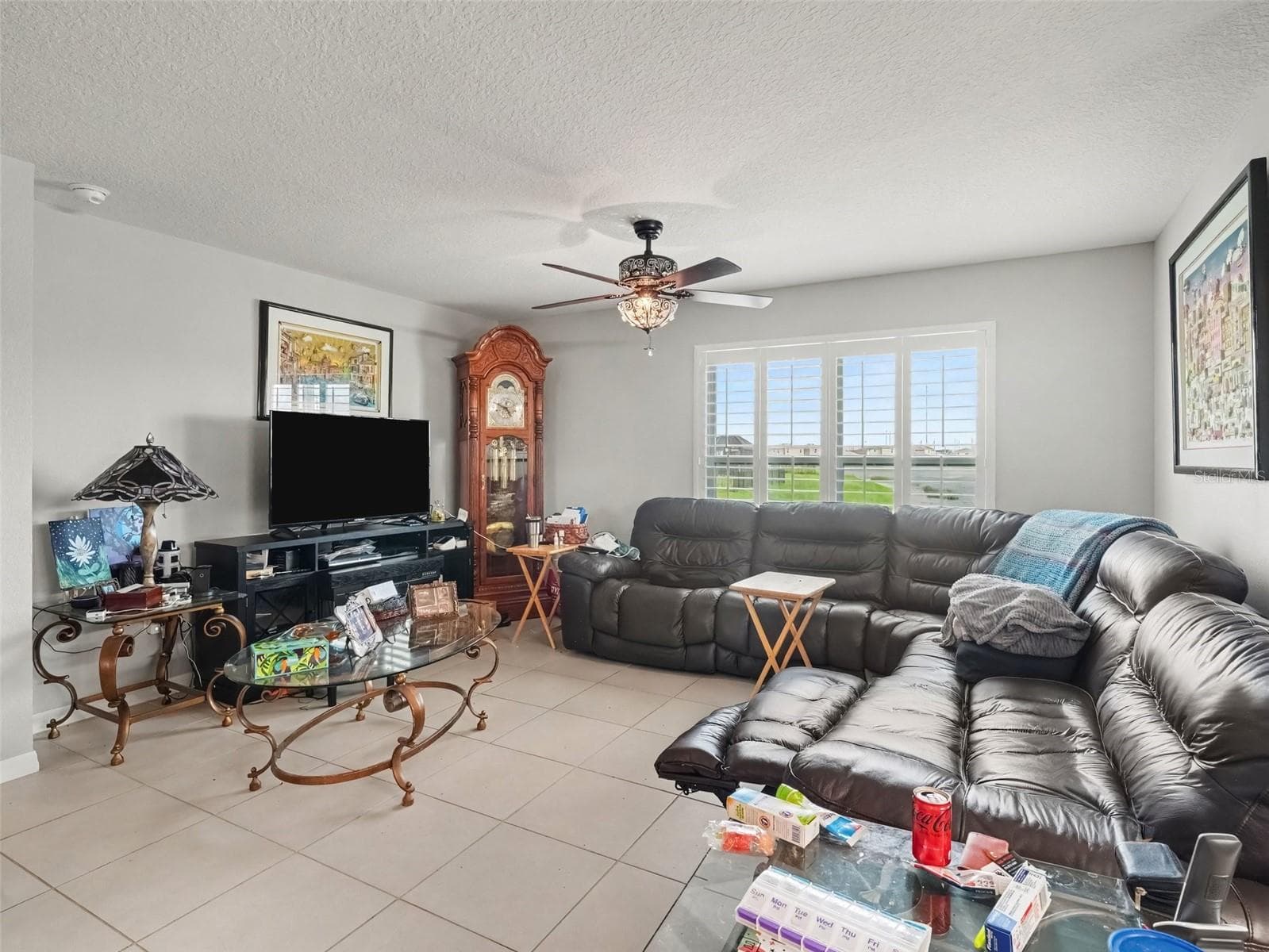 Single Family Residence at 10318 MOOSEHEAD DR, PARRISH, photo 10 of 28