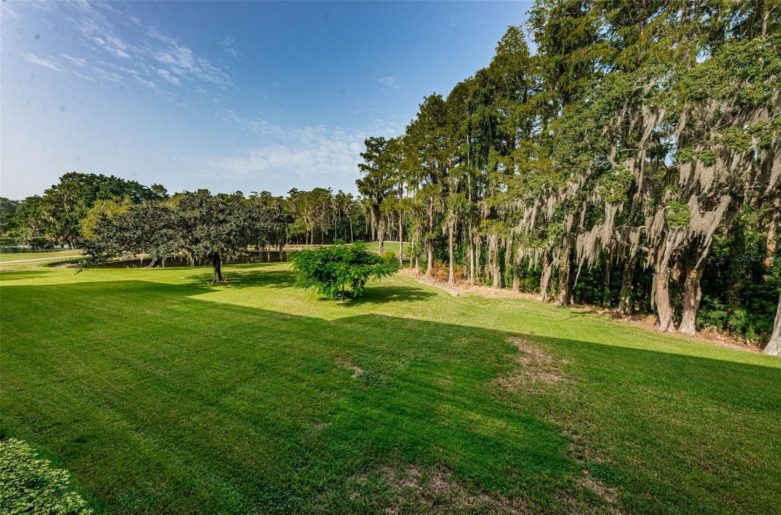 Condominium at 36750 US HIGHWAY 19 N #3-209, PALM HARBOR, photo 23 of 99