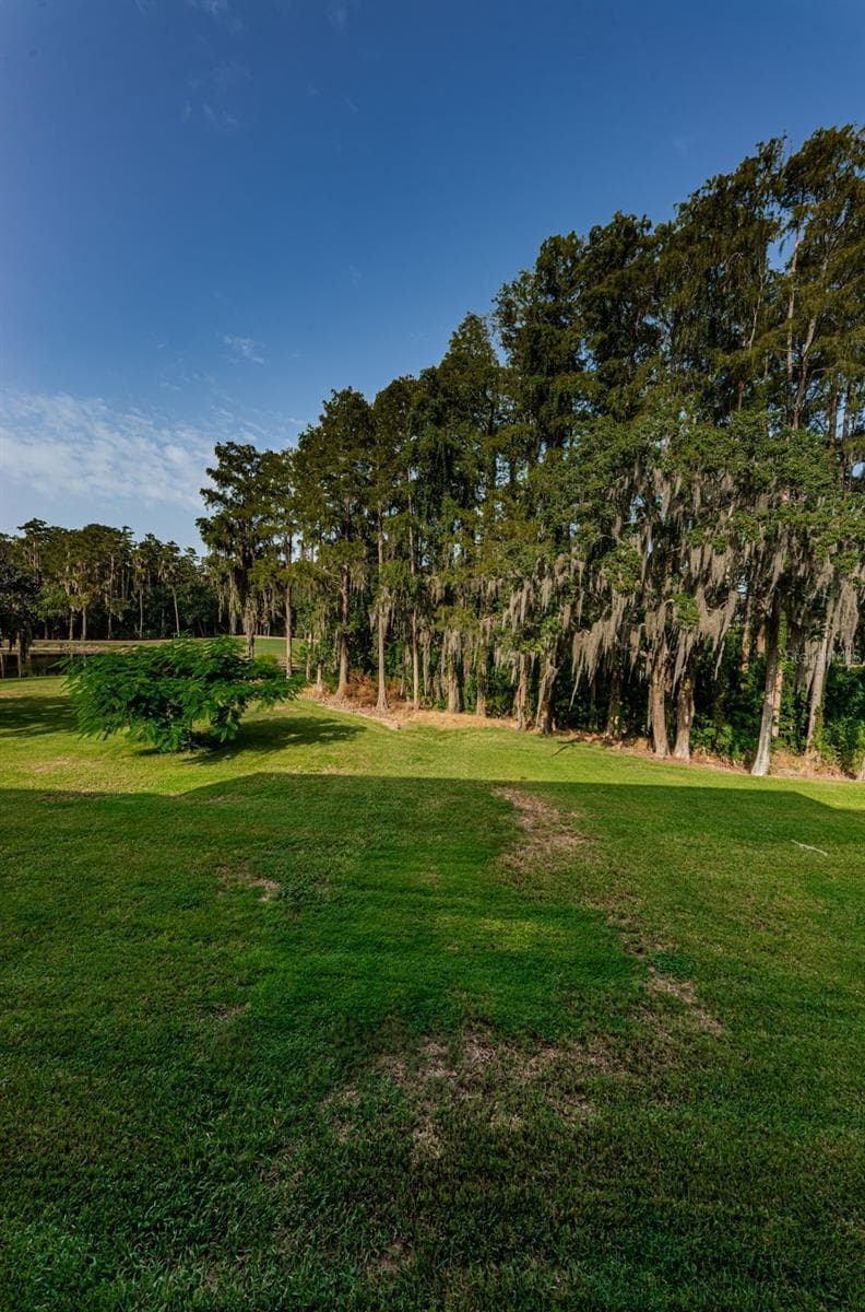 Condominium at 36750 US HIGHWAY 19 N #3-209, PALM HARBOR, photo 24 of 99