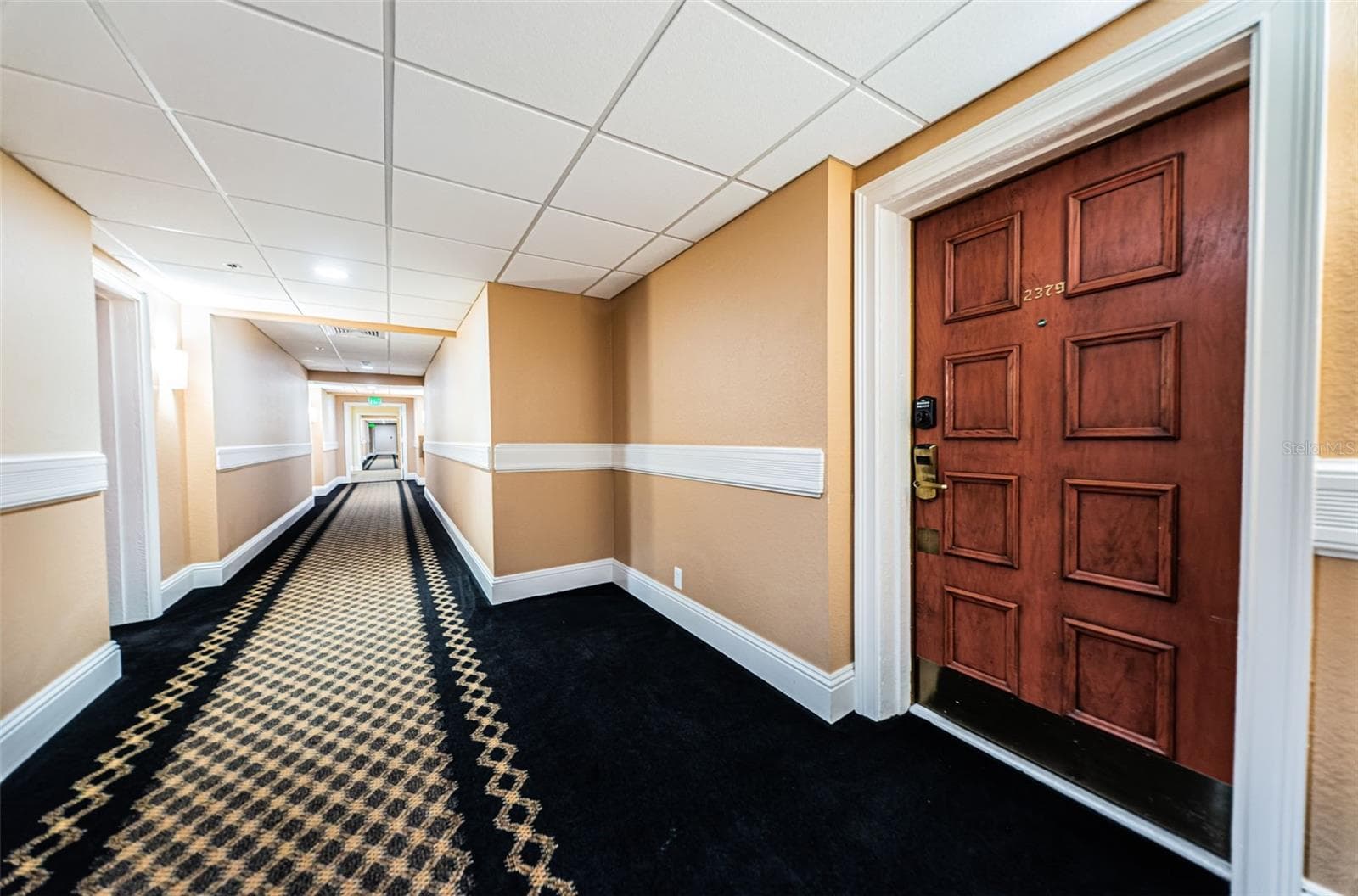 Condominium at 36750 US HIGHWAY 19 N #3-209, PALM HARBOR, photo 30 of 99