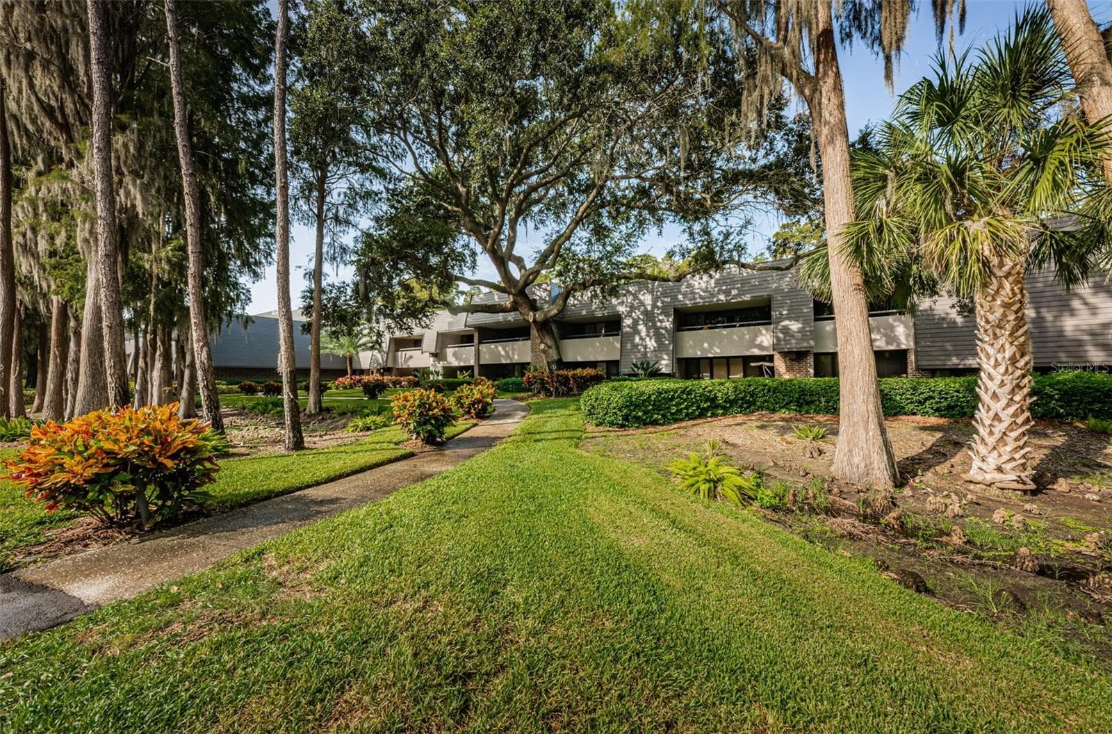 Condominium at 36750 US HIGHWAY 19 N #3-209, PALM HARBOR, photo 32 of 99