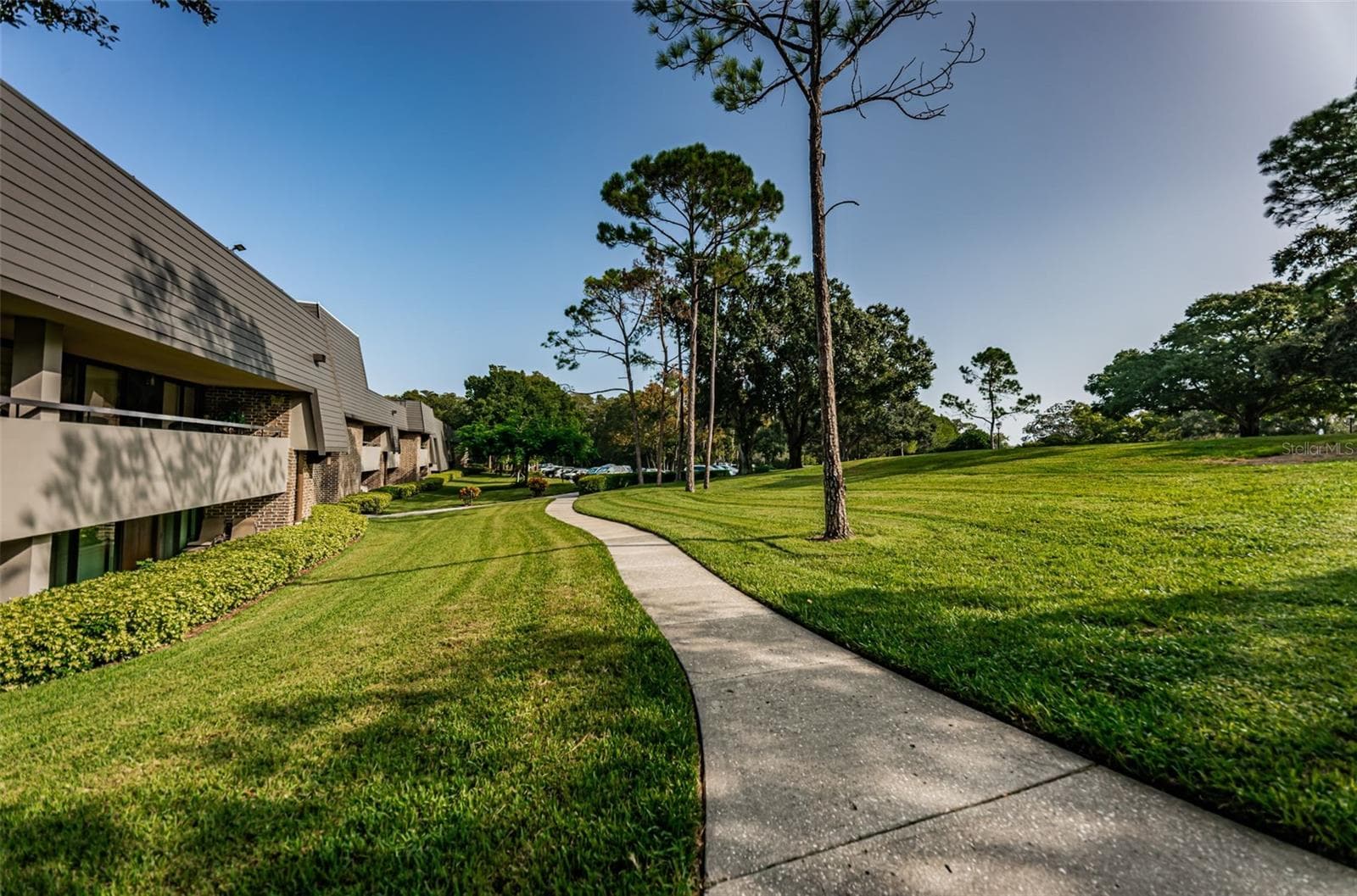 Condominium at 36750 US HIGHWAY 19 N #3-209, PALM HARBOR, photo 38 of 99