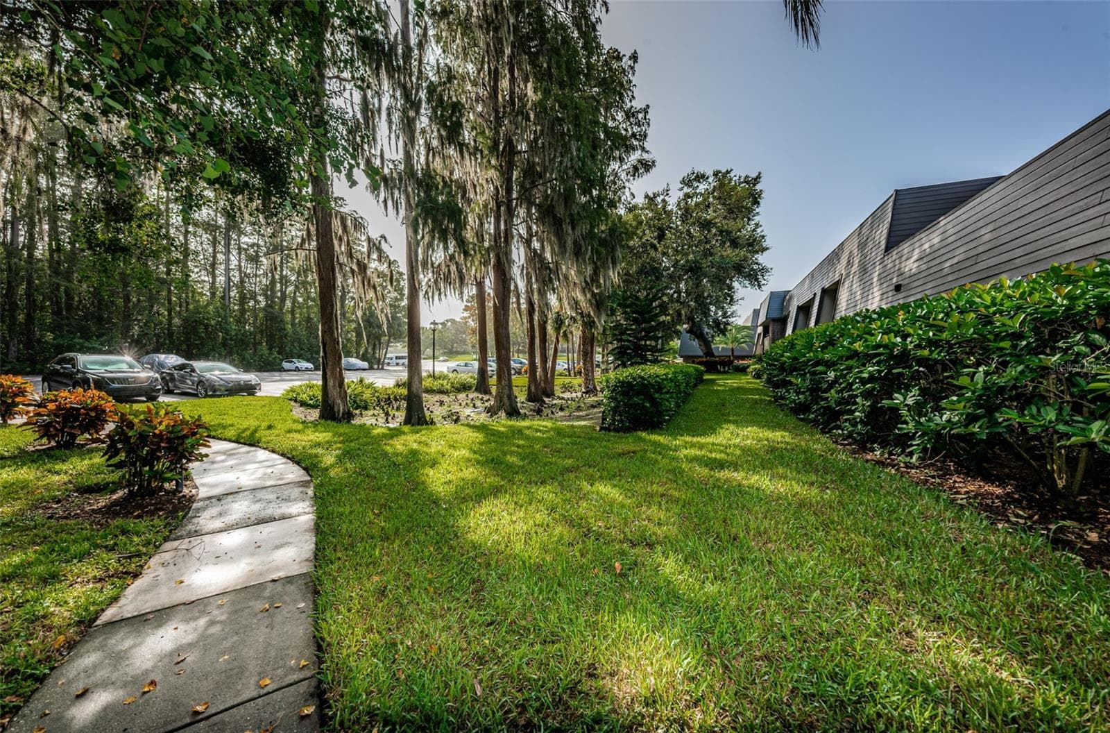 Condominium at 36750 US HIGHWAY 19 N #3-209, PALM HARBOR, photo 39 of 99