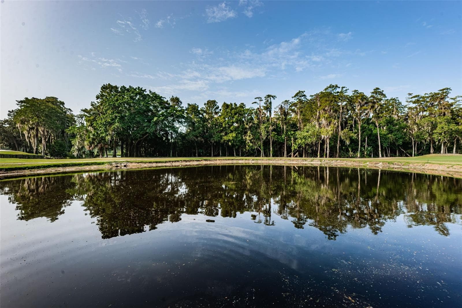 Condominium at 36750 US HIGHWAY 19 N #3-209, PALM HARBOR, photo 41 of 99