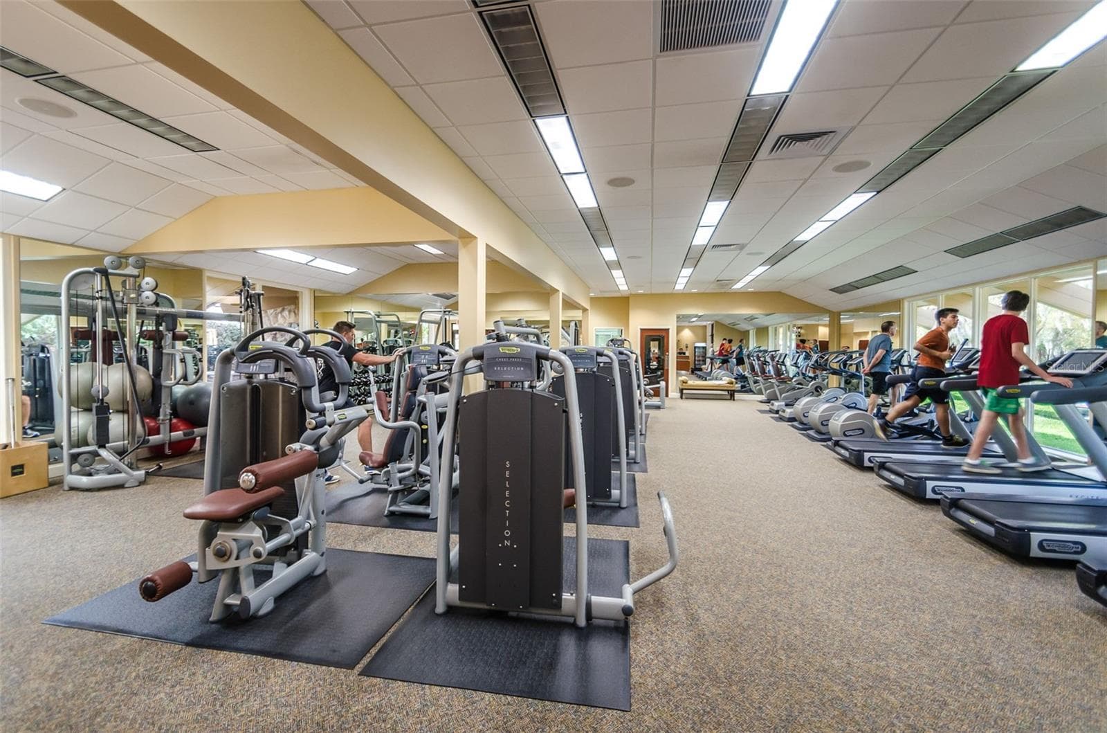 Condominium at 36750 US HIGHWAY 19 N #3-209, PALM HARBOR, photo 55 of 99