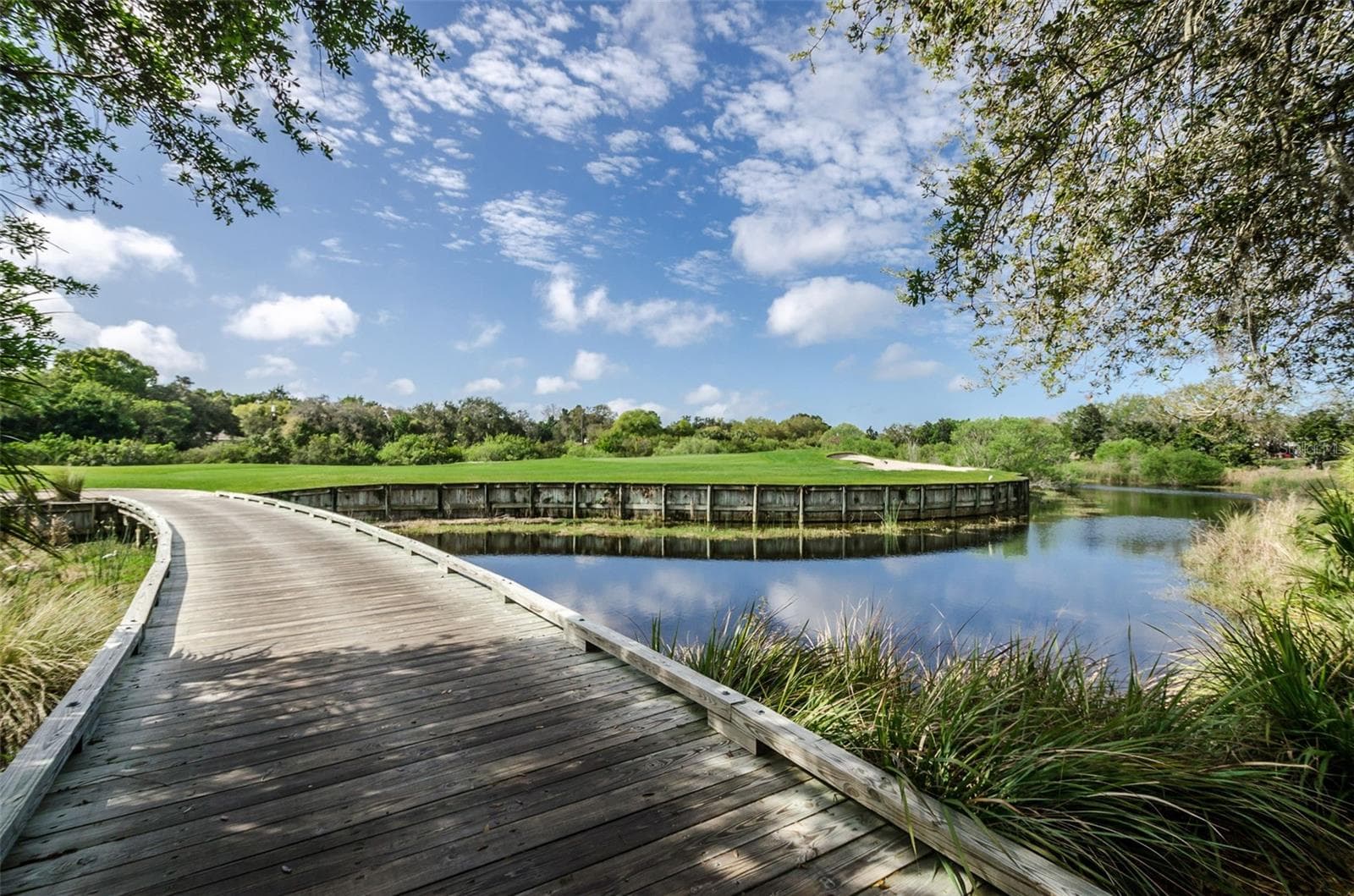 Condominium at 36750 US HIGHWAY 19 N #3-209, PALM HARBOR, photo 57 of 99