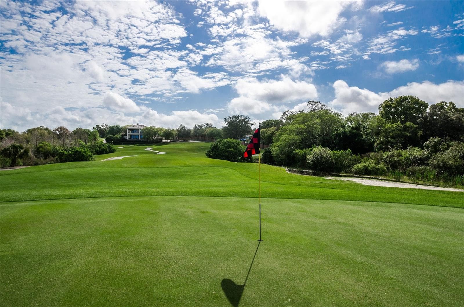 Condominium at 36750 US HIGHWAY 19 N #3-209, PALM HARBOR, photo 58 of 99