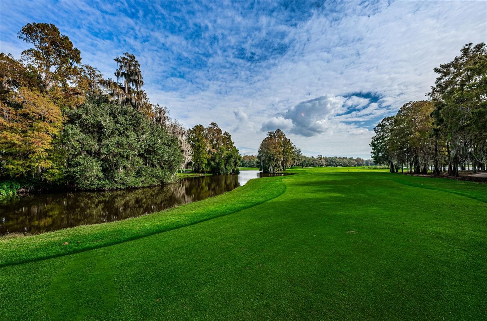 Condominium at 36750 US HIGHWAY 19 N #3-209, PALM HARBOR, photo 63 of 99