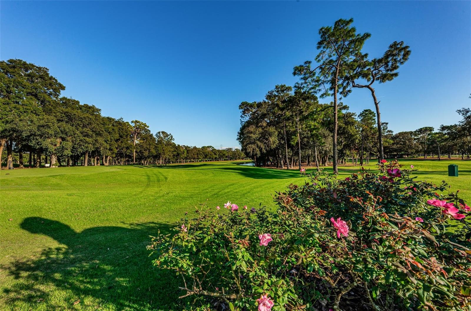 Condominium at 36750 US HIGHWAY 19 N #3-209, PALM HARBOR, photo 68 of 99