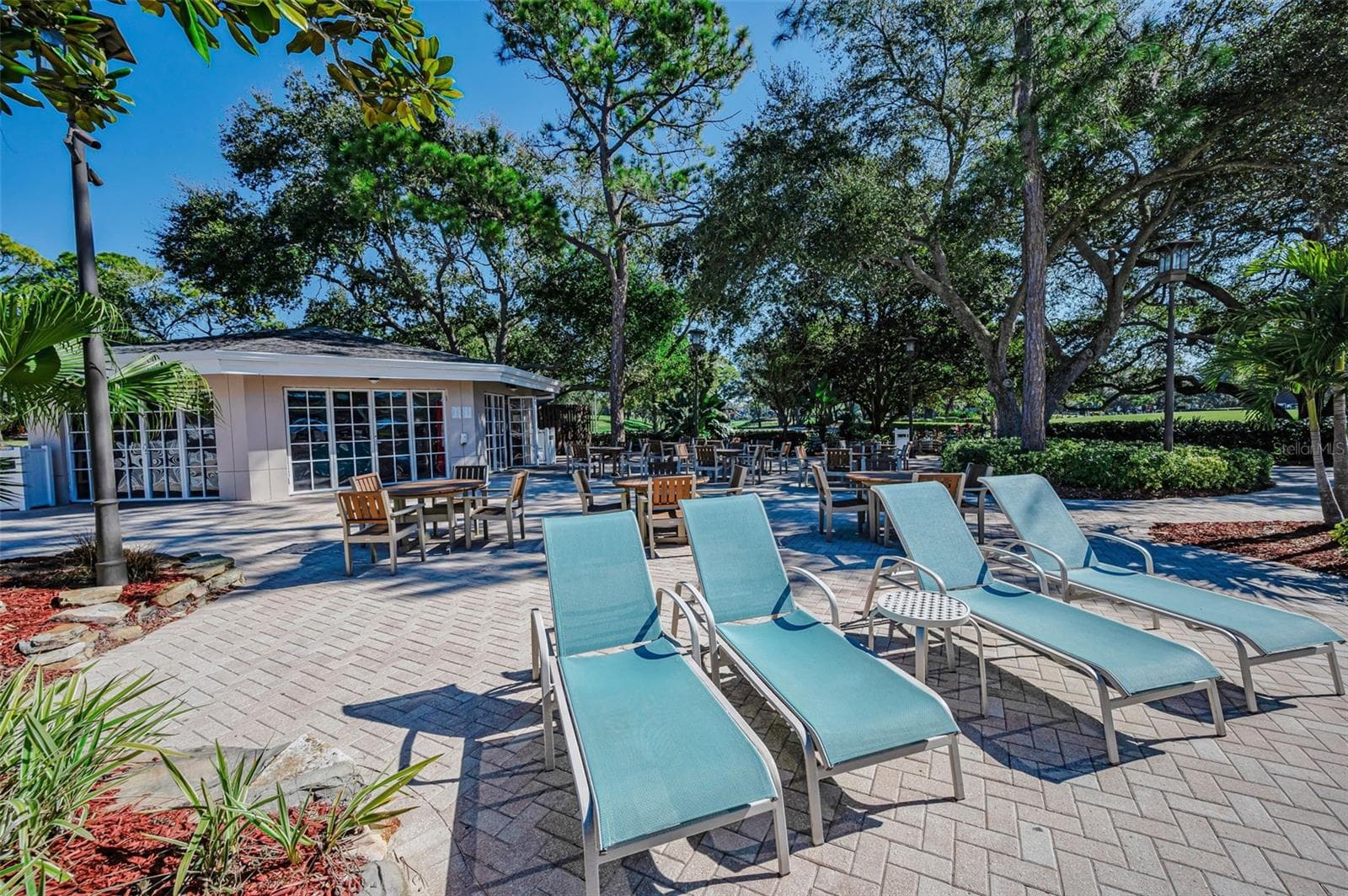 Condominium at 36750 US HIGHWAY 19 N #3-209, PALM HARBOR, photo 77 of 99