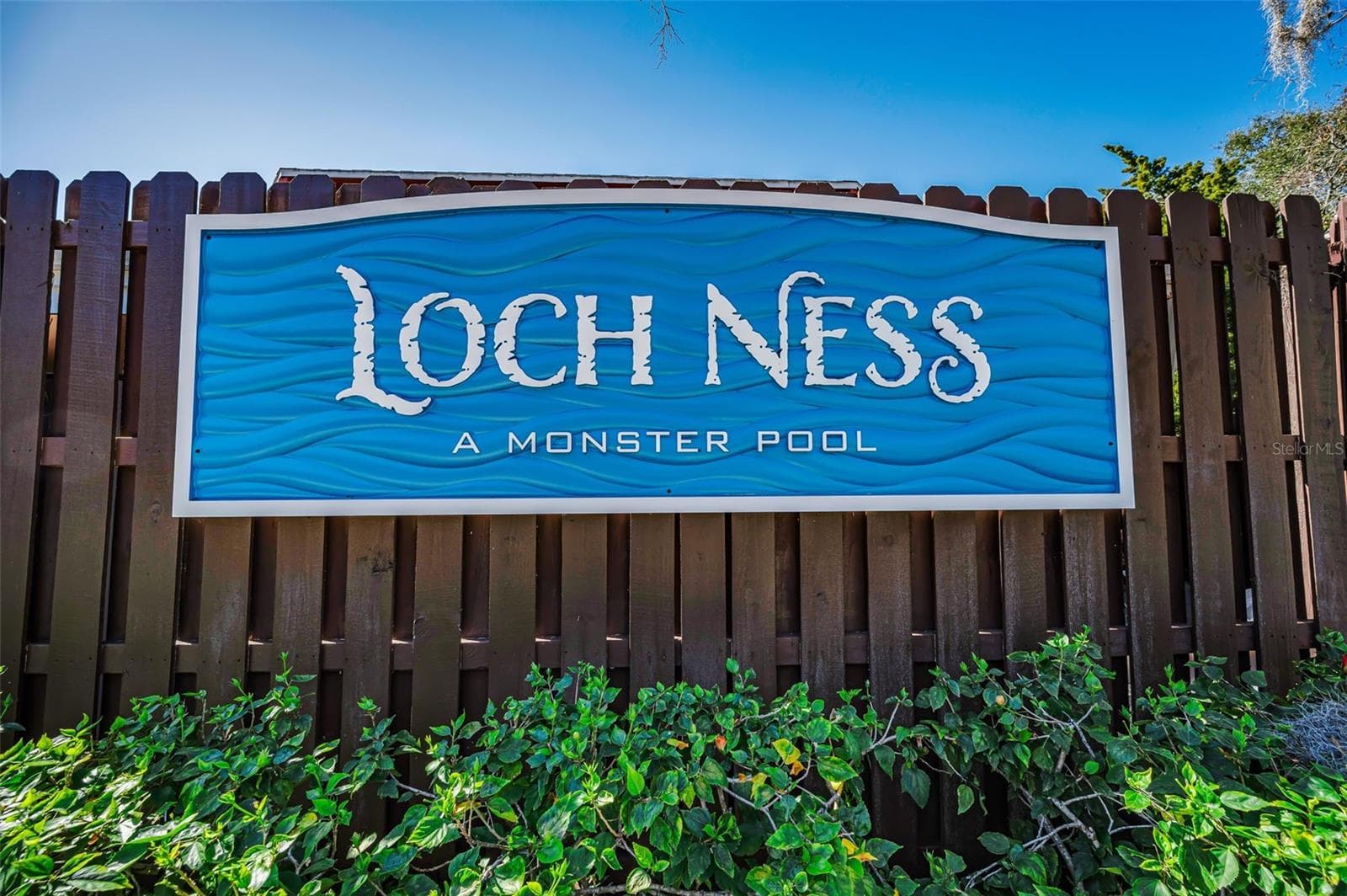 Condominium at 36750 US HIGHWAY 19 N #3-209, PALM HARBOR, photo 80 of 99
