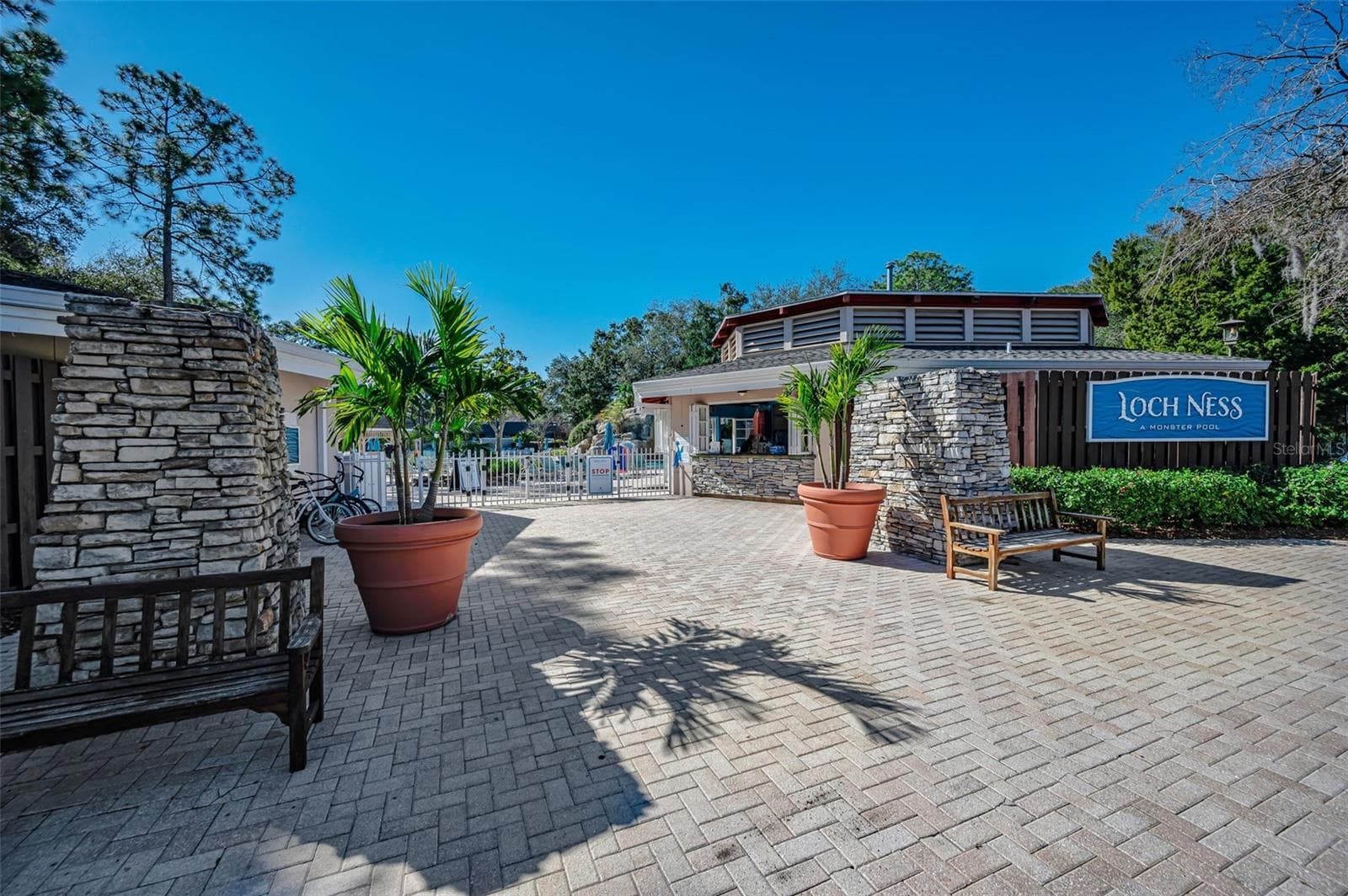 Condominium at 36750 US HIGHWAY 19 N #3-209, PALM HARBOR, photo 81 of 99