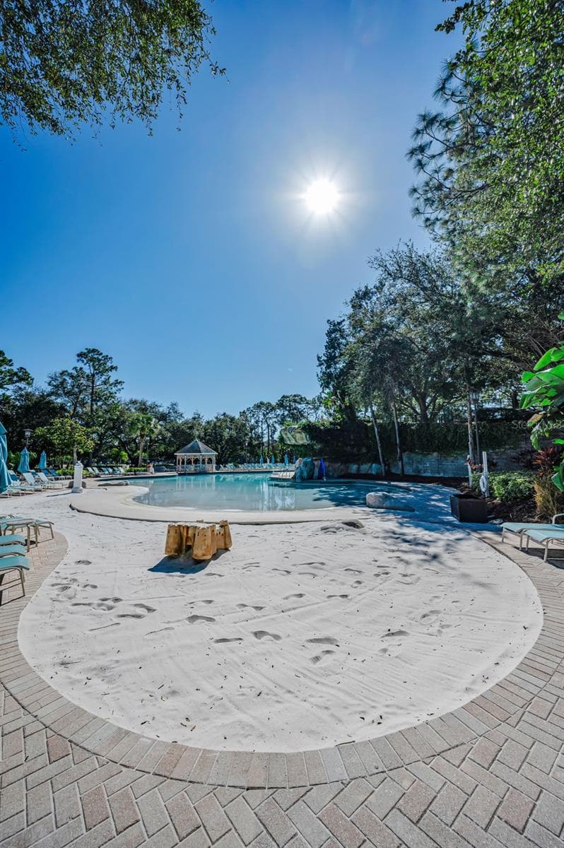 Condominium at 36750 US HIGHWAY 19 N #3-209, PALM HARBOR, photo 87 of 99